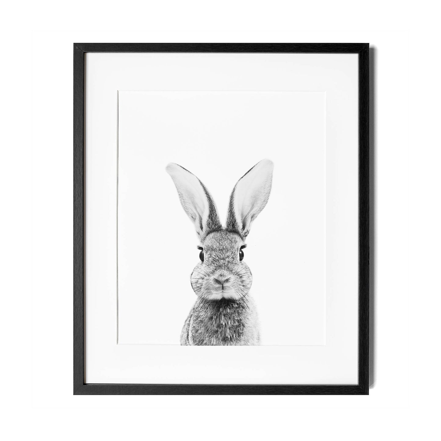 Black and White Bunny Wall Art