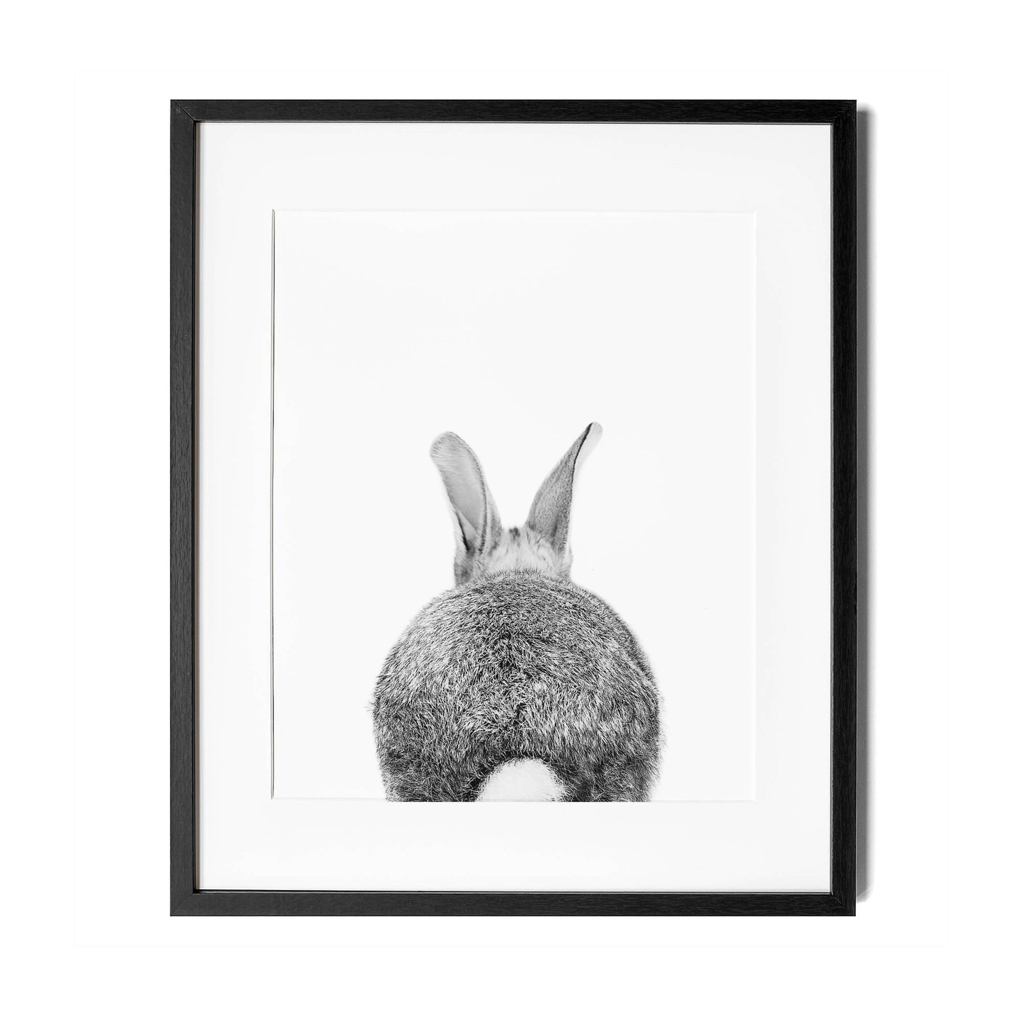 Black and White Baby Bunny Tail Wall Art for nursery
