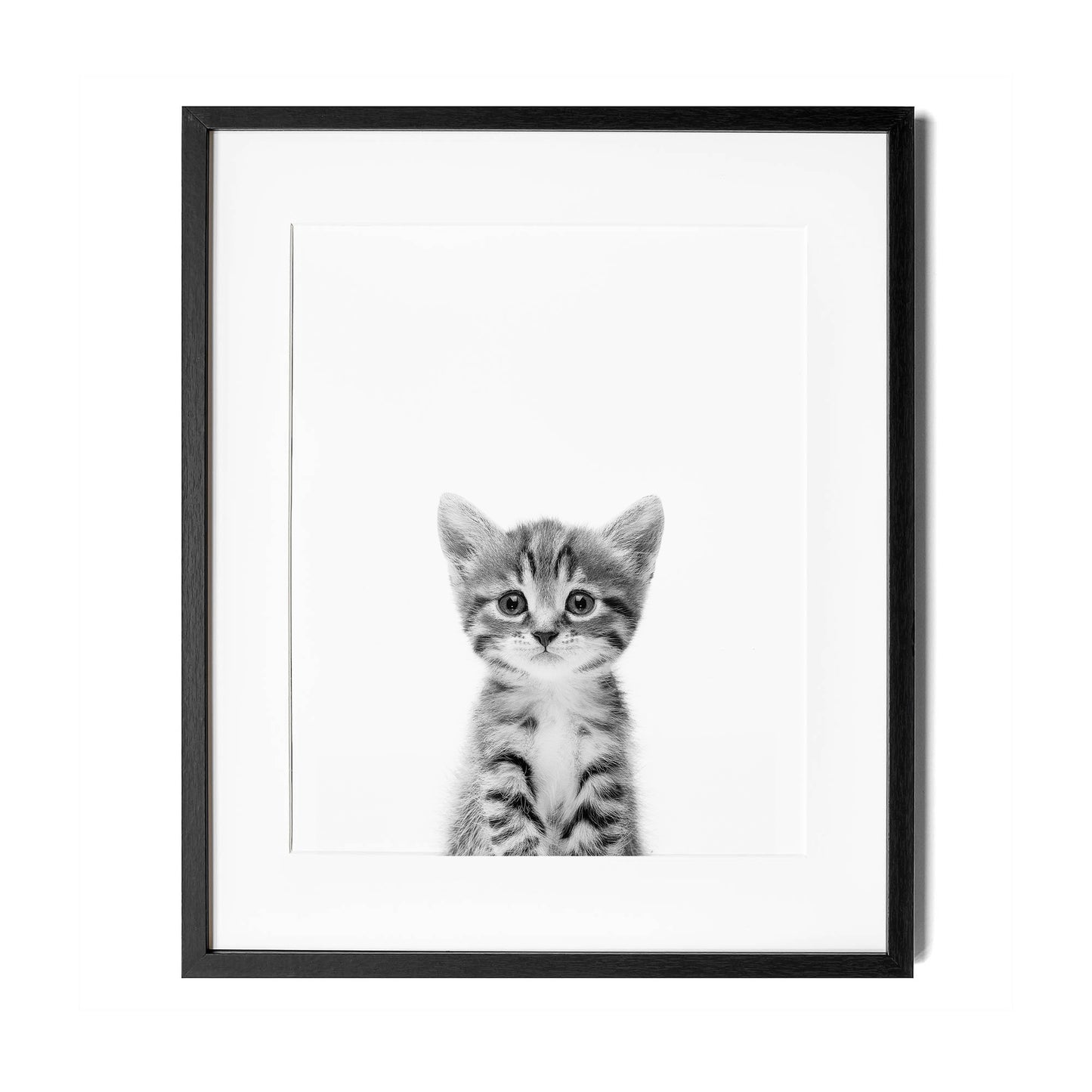 Black and White Cat Wall Art for nursery