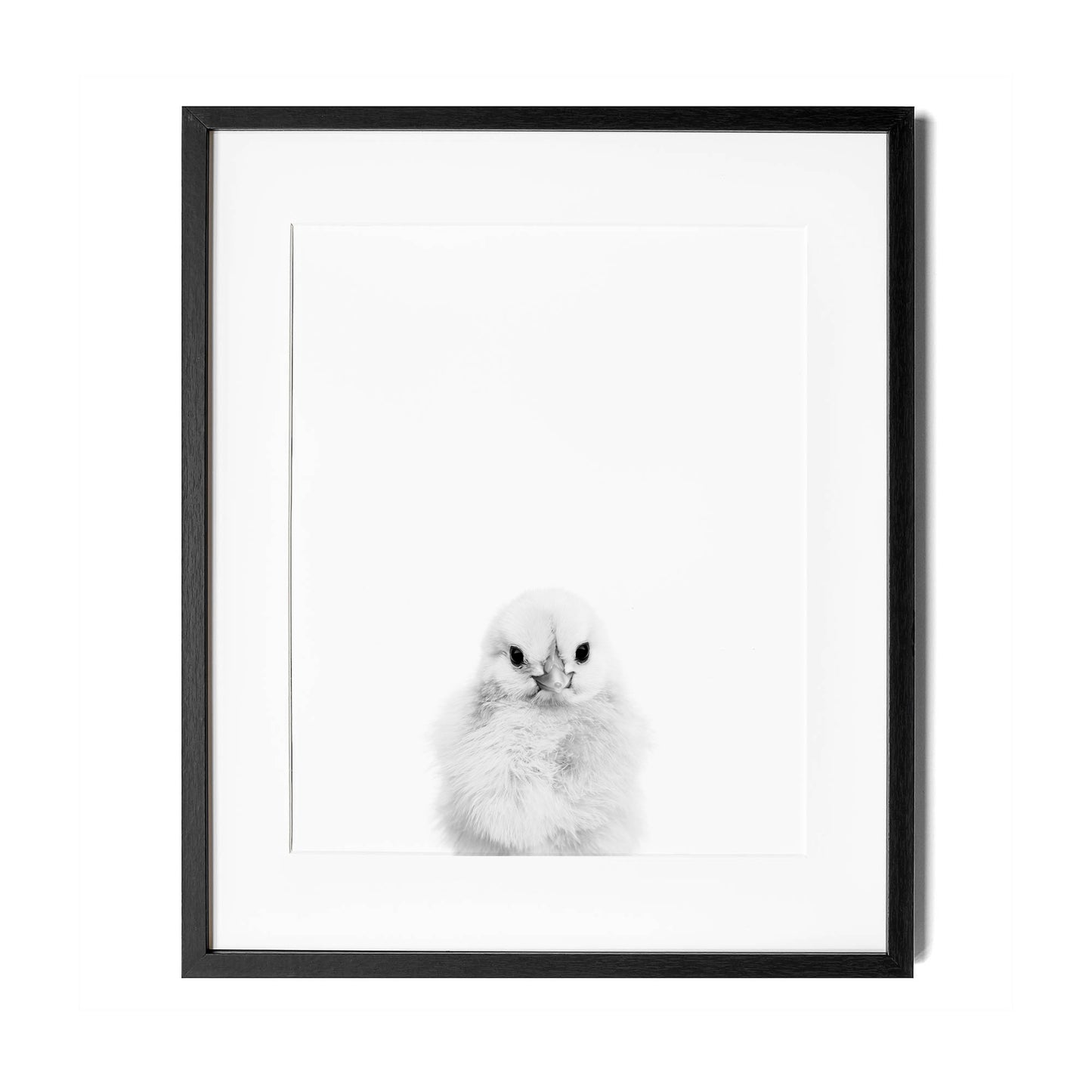 Black and White Chick Wall Art for nursery