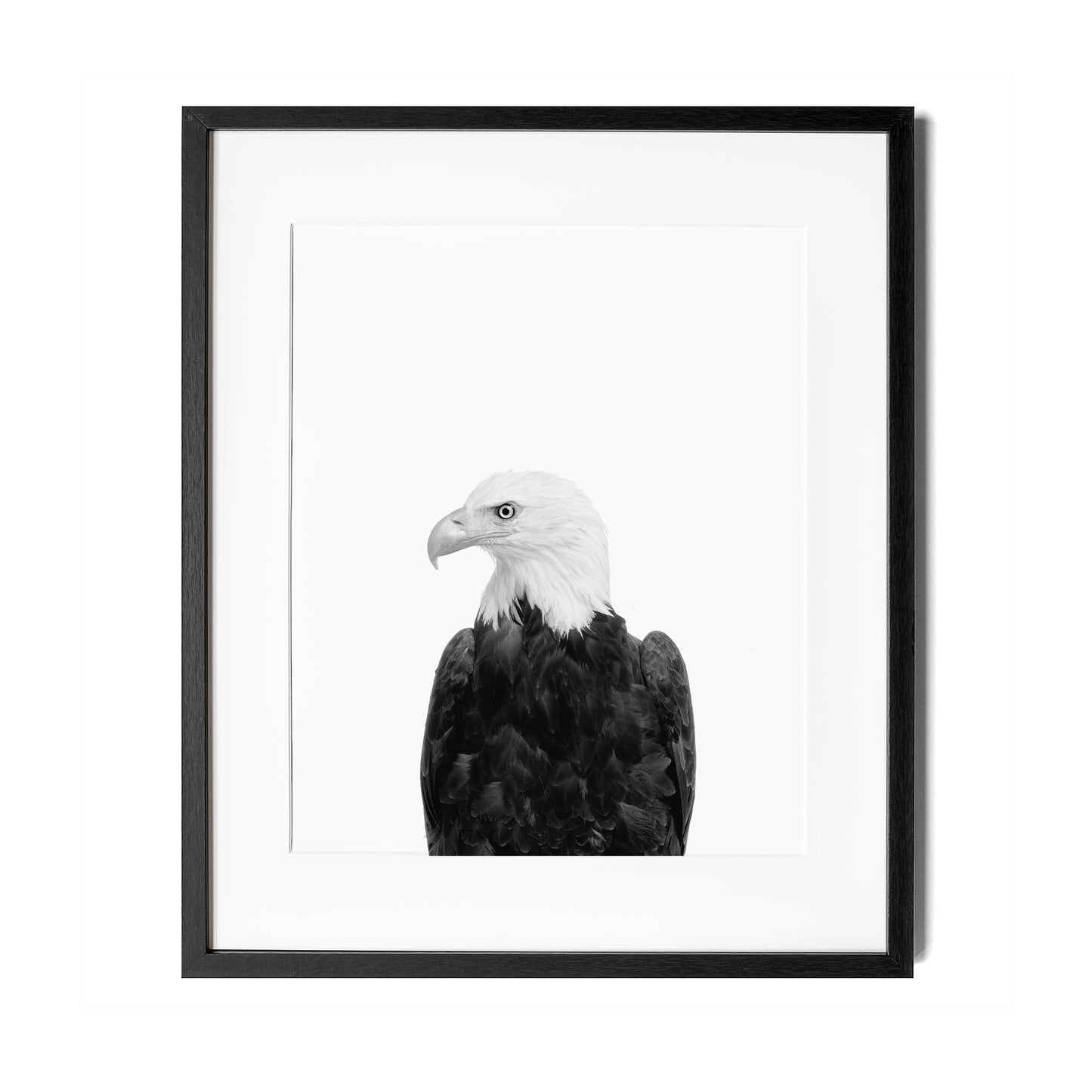 Black and White Eagle Wall Art