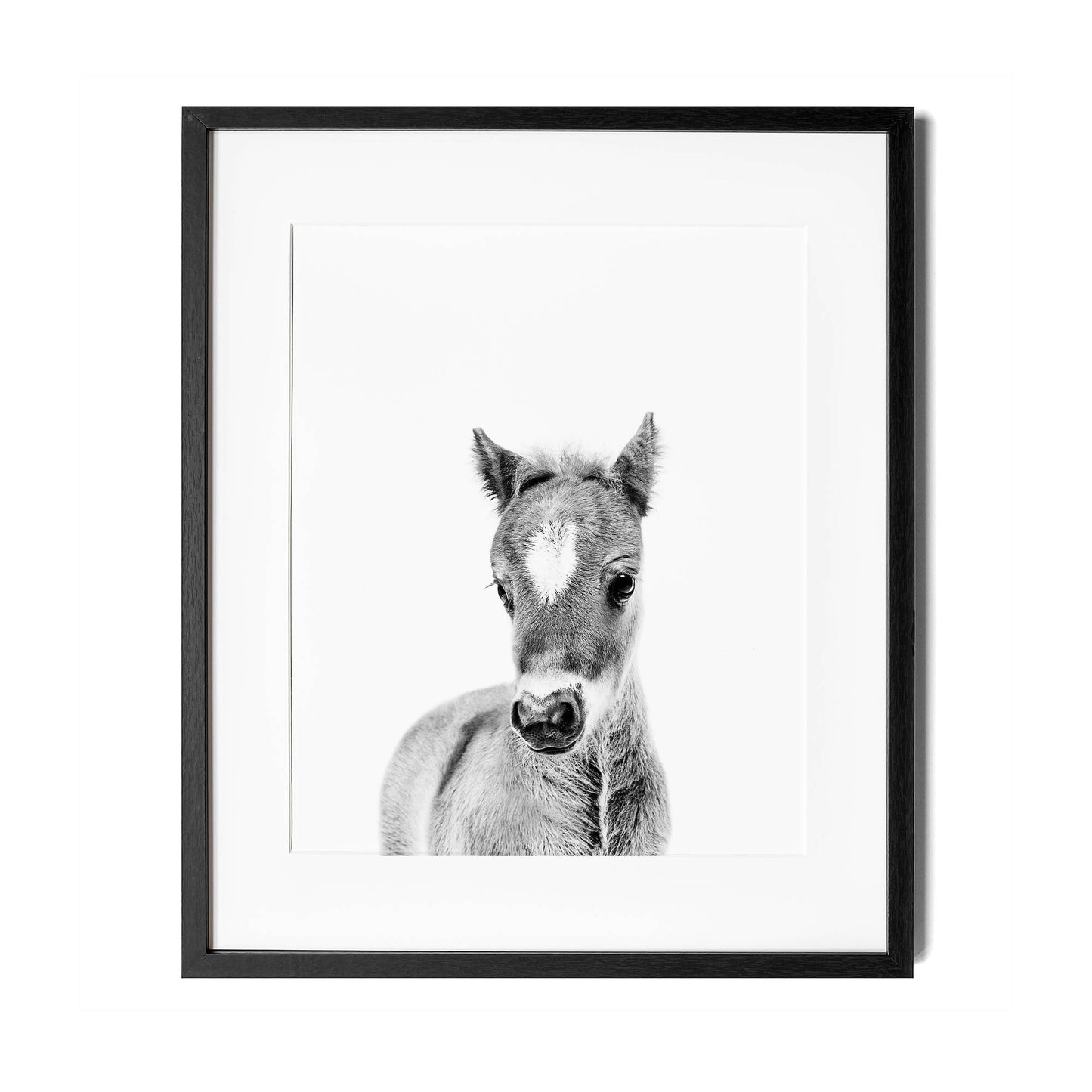 Black and White Horse Wall Art for nursery