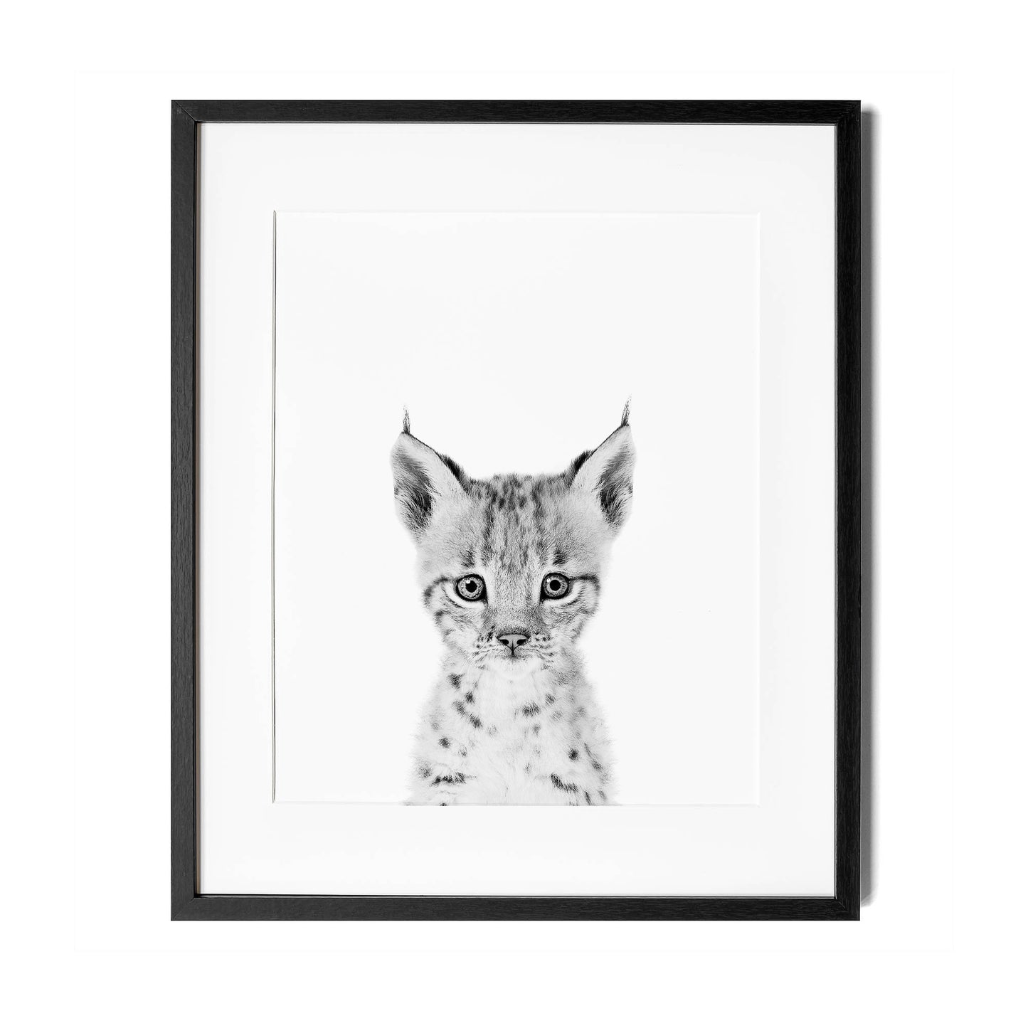 Black and White Baby Bobcat Wall Art for nursery