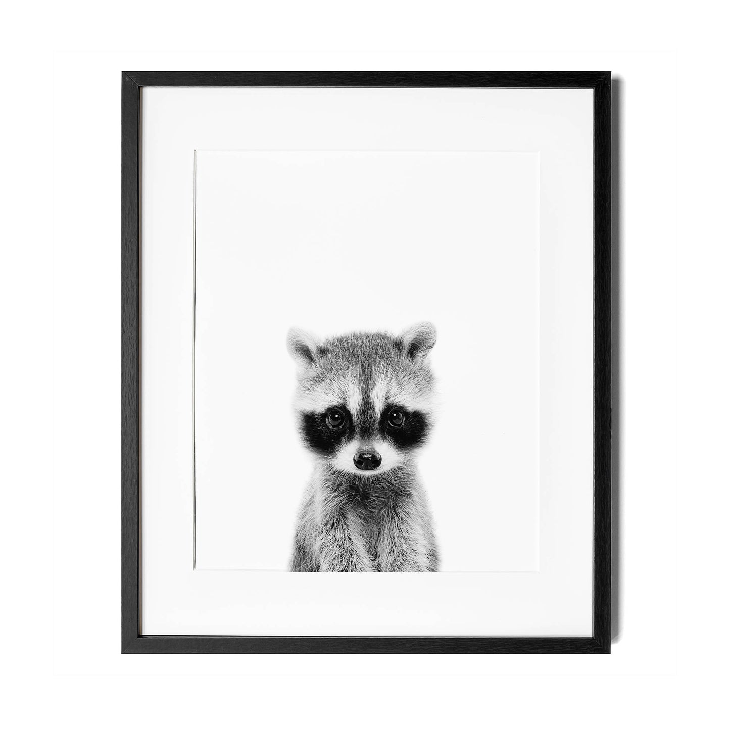 Black and White Raccoon Wall Art for nursery