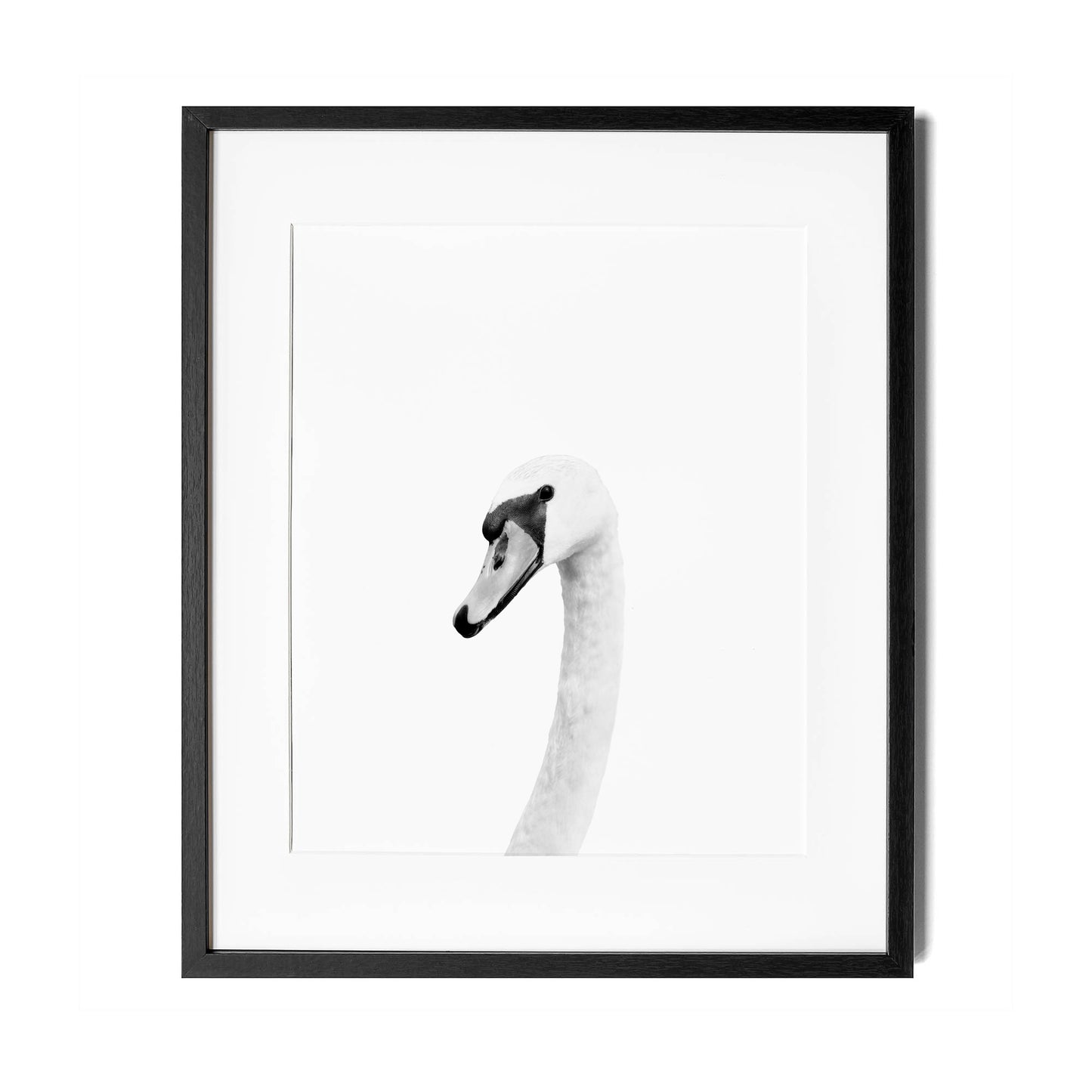 Black and White Swan Wall Art for nursery