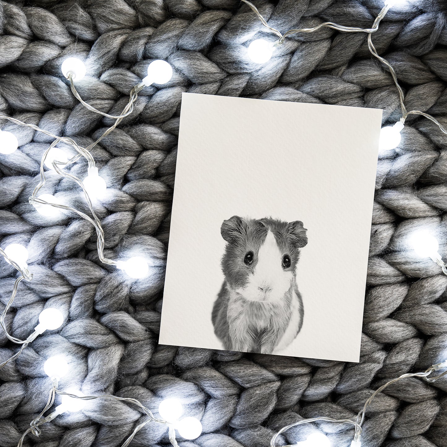 Black and White Guinea Pig Wall Art for nursery