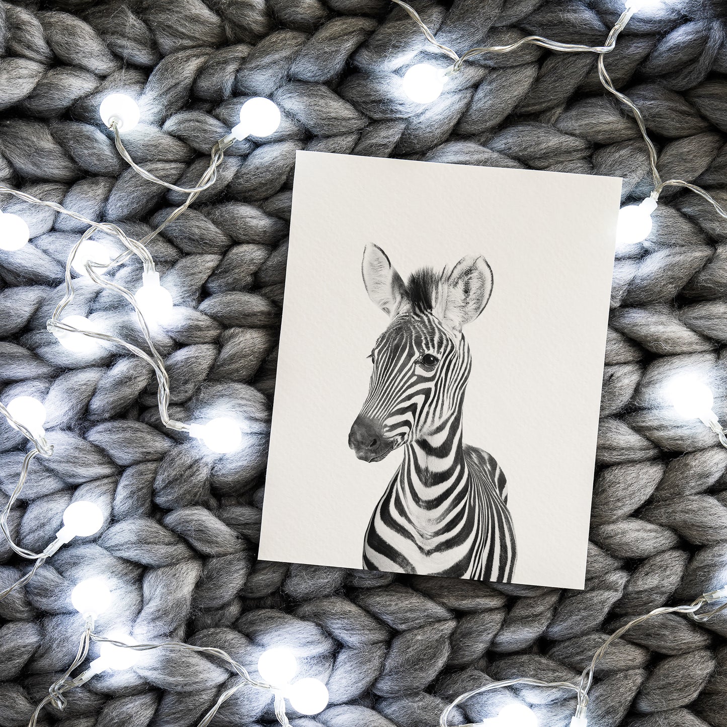 Black and White Zebra Wall Art for nursery