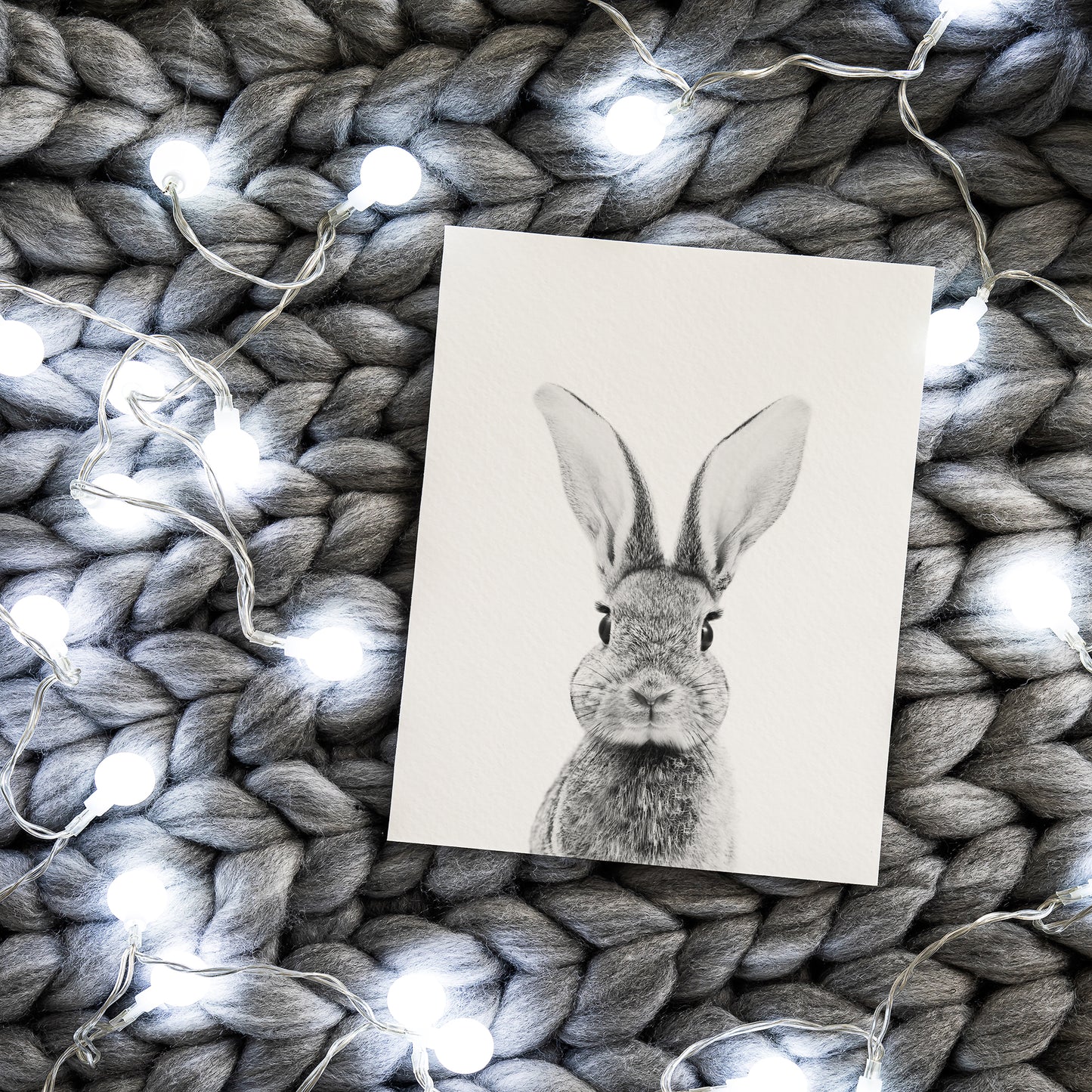 Black and White Bunny Wall Art