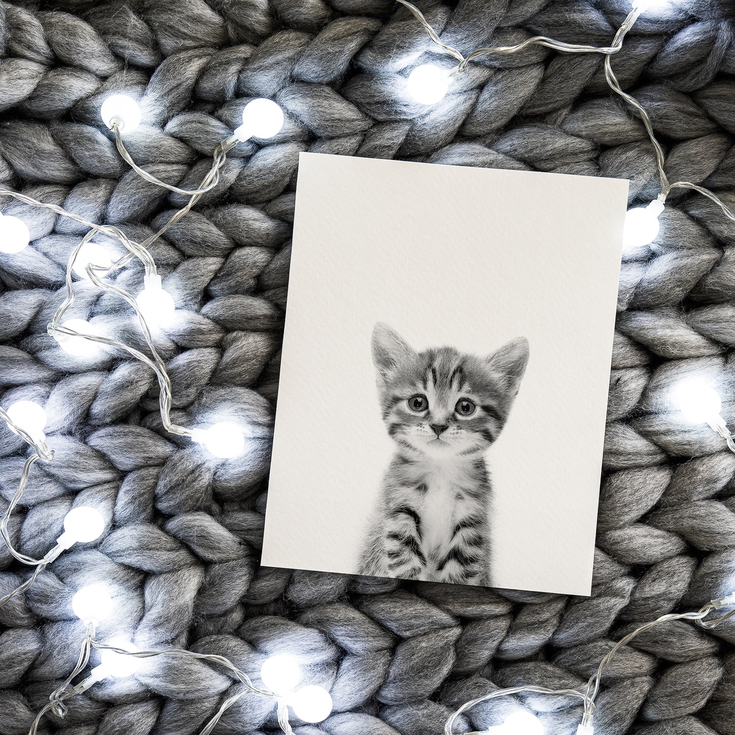 Black and White Cat Wall Art for nursery