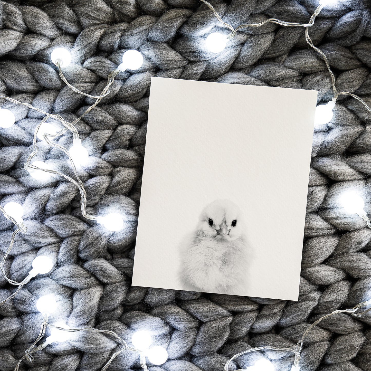 Black and White Chick Wall Art for nursery