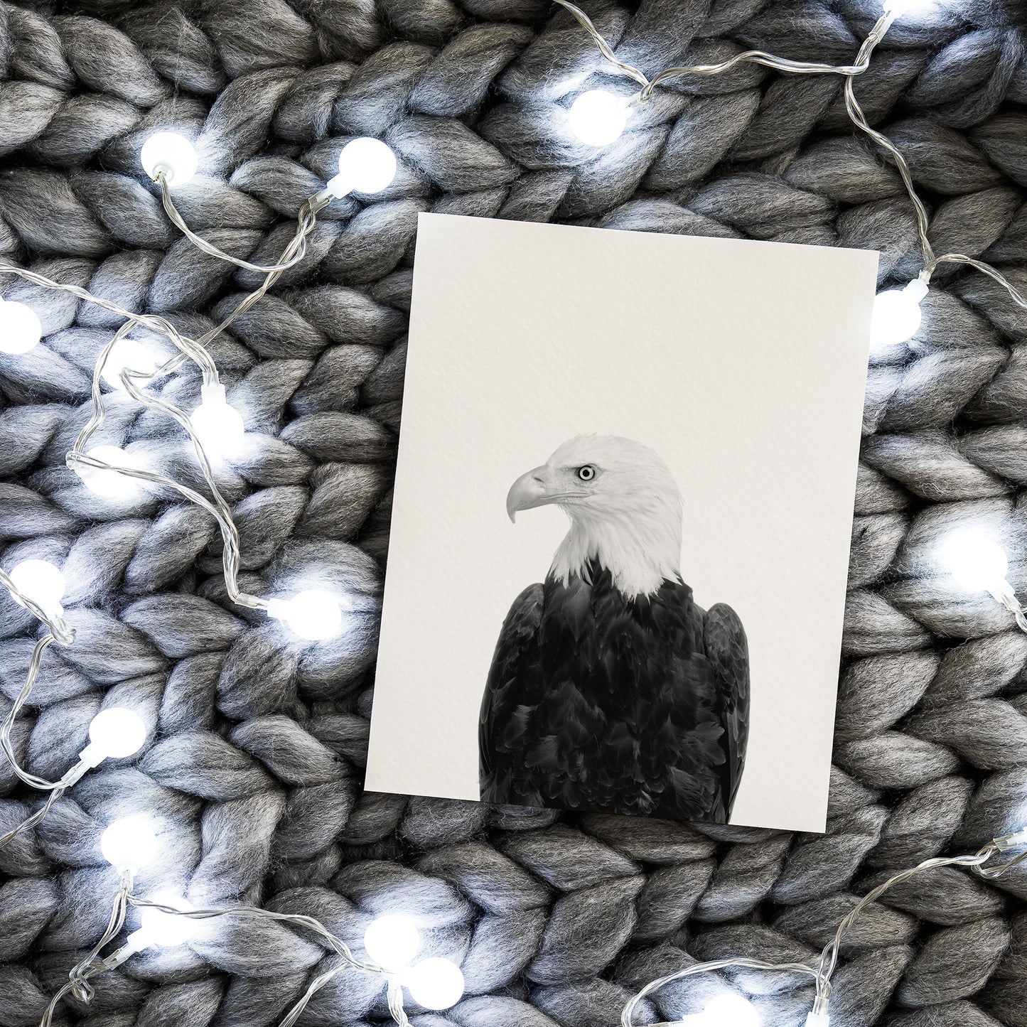 Black and White Eagle Wall Art
