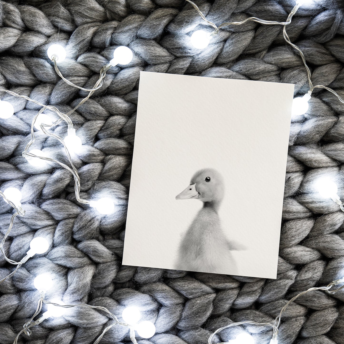 Black and White Goose Wall Art for nursery