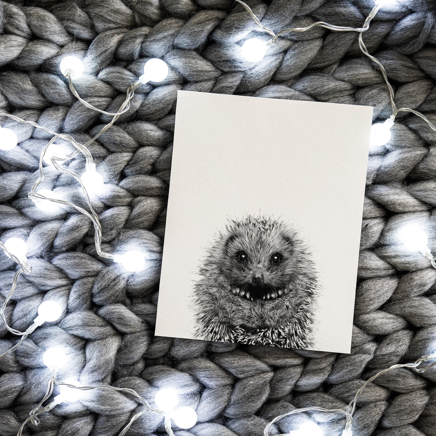 Black and White Baby Hedgehog Wall Art for nursery