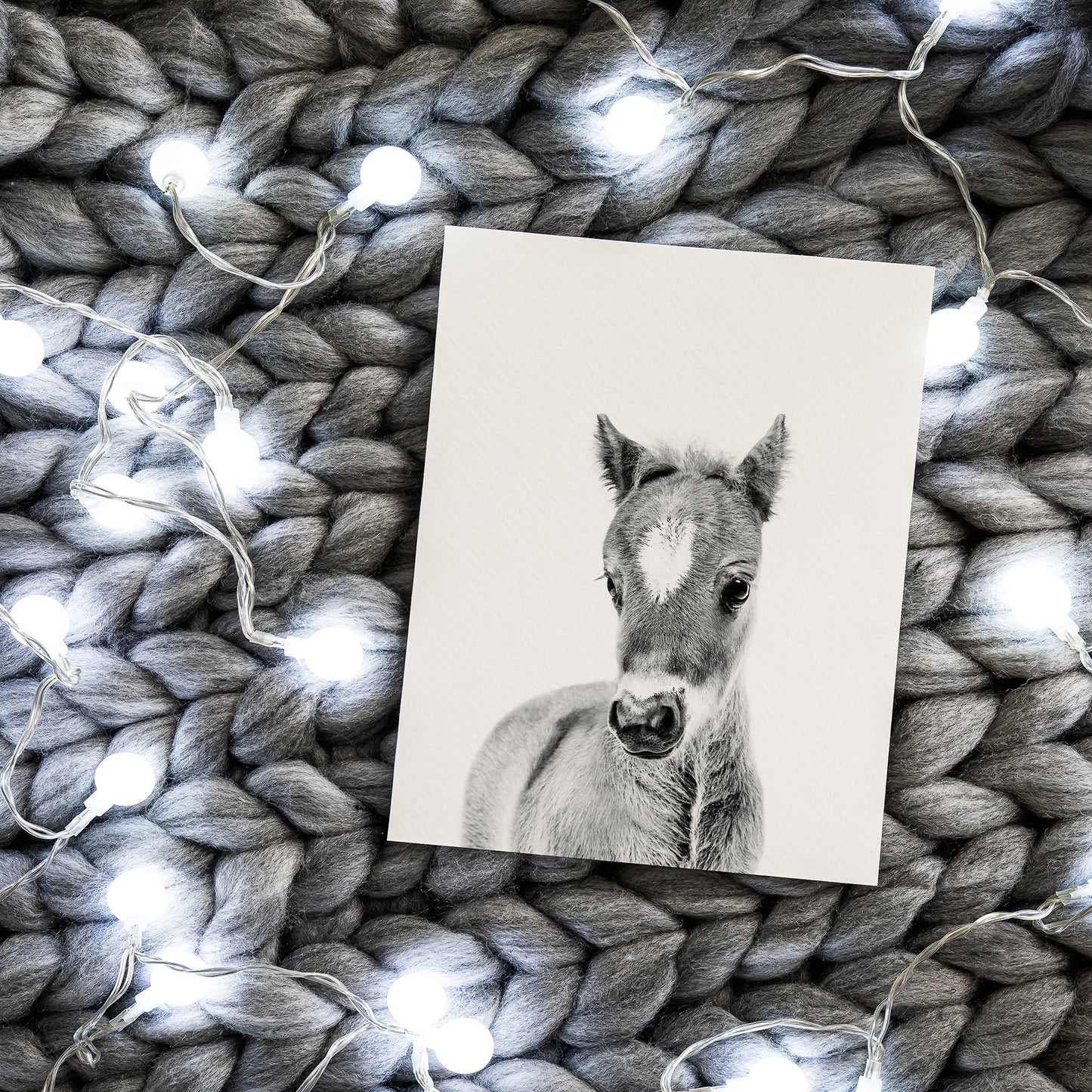 Black and White Horse Wall Art for nursery