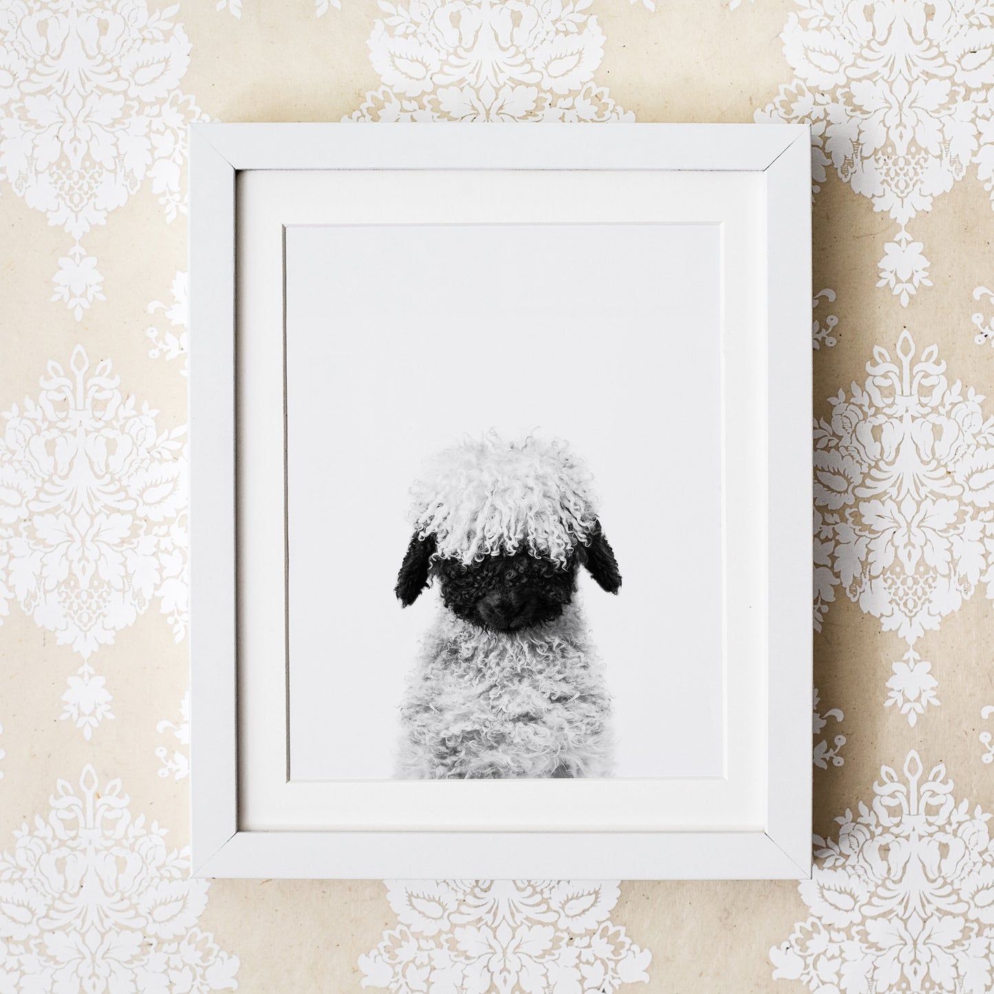 Black and White Lamb Blacknose Wall Art
