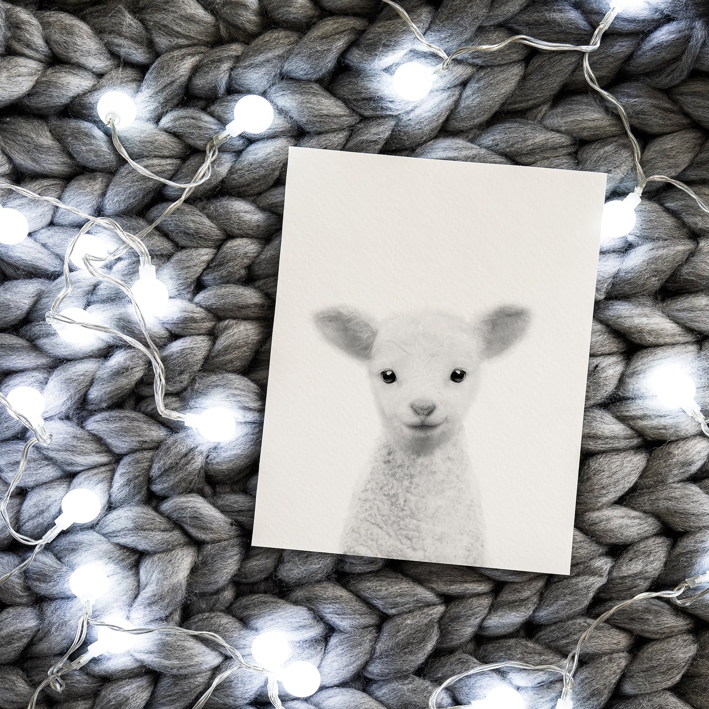 Black and White Lamb Wall Art