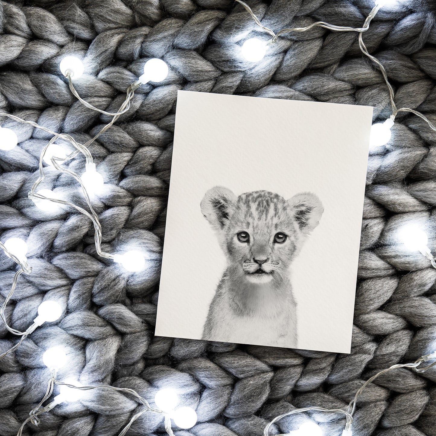 Black and White Lion Art Print