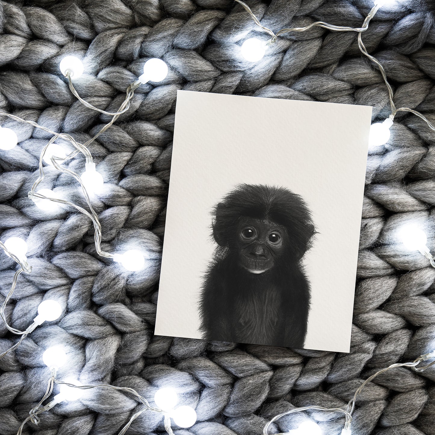 Black and White Monkey Wall Art for nursery