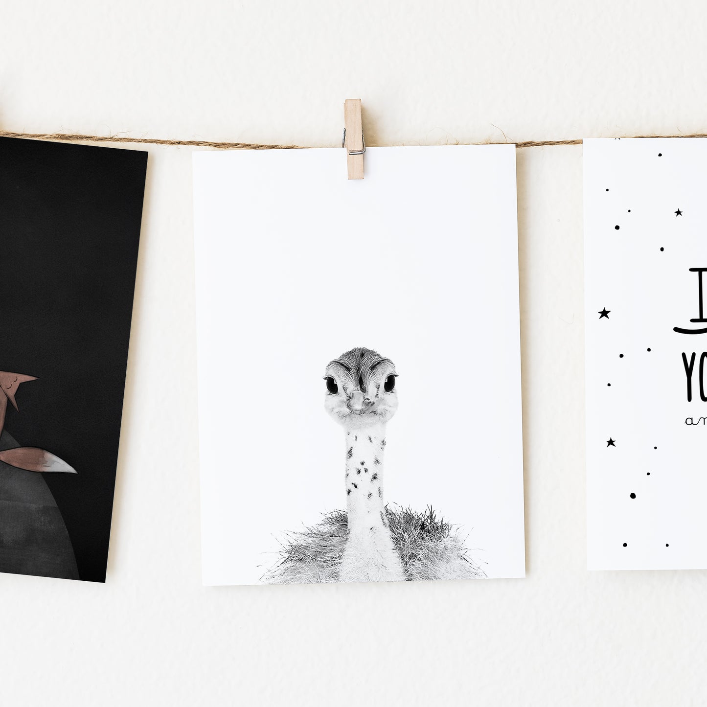 Black and White Ostrich Chick Wall Art for nursery