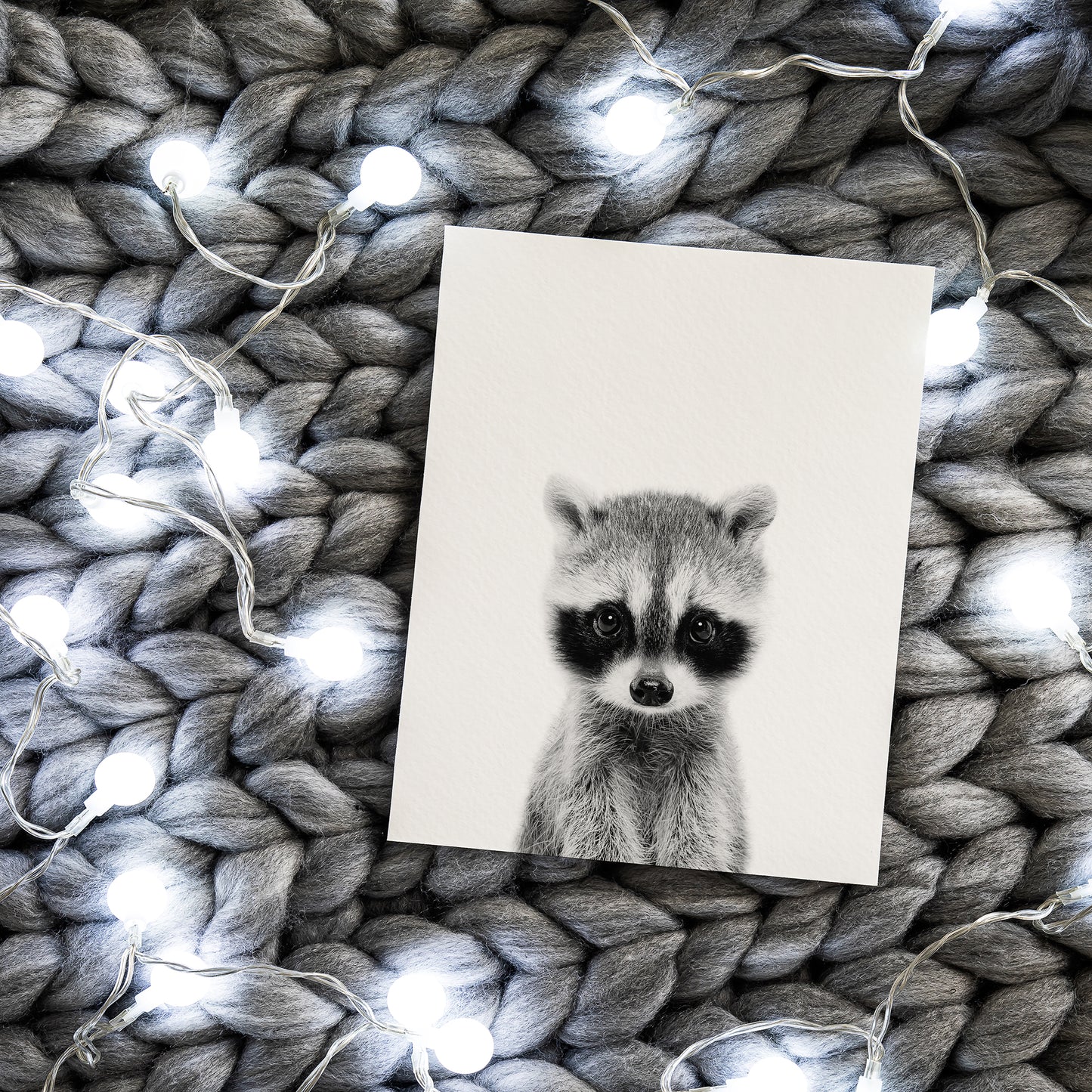 Black and White Raccoon Wall Art for nursery