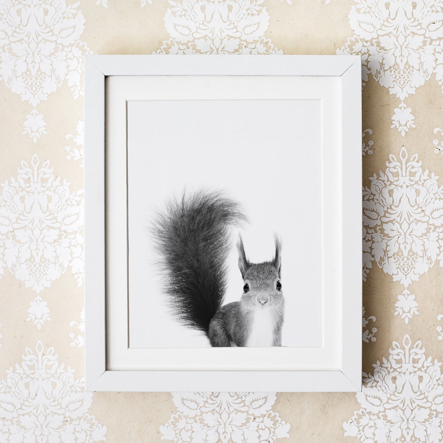 Black and White Squirrel Wall Art for nursery