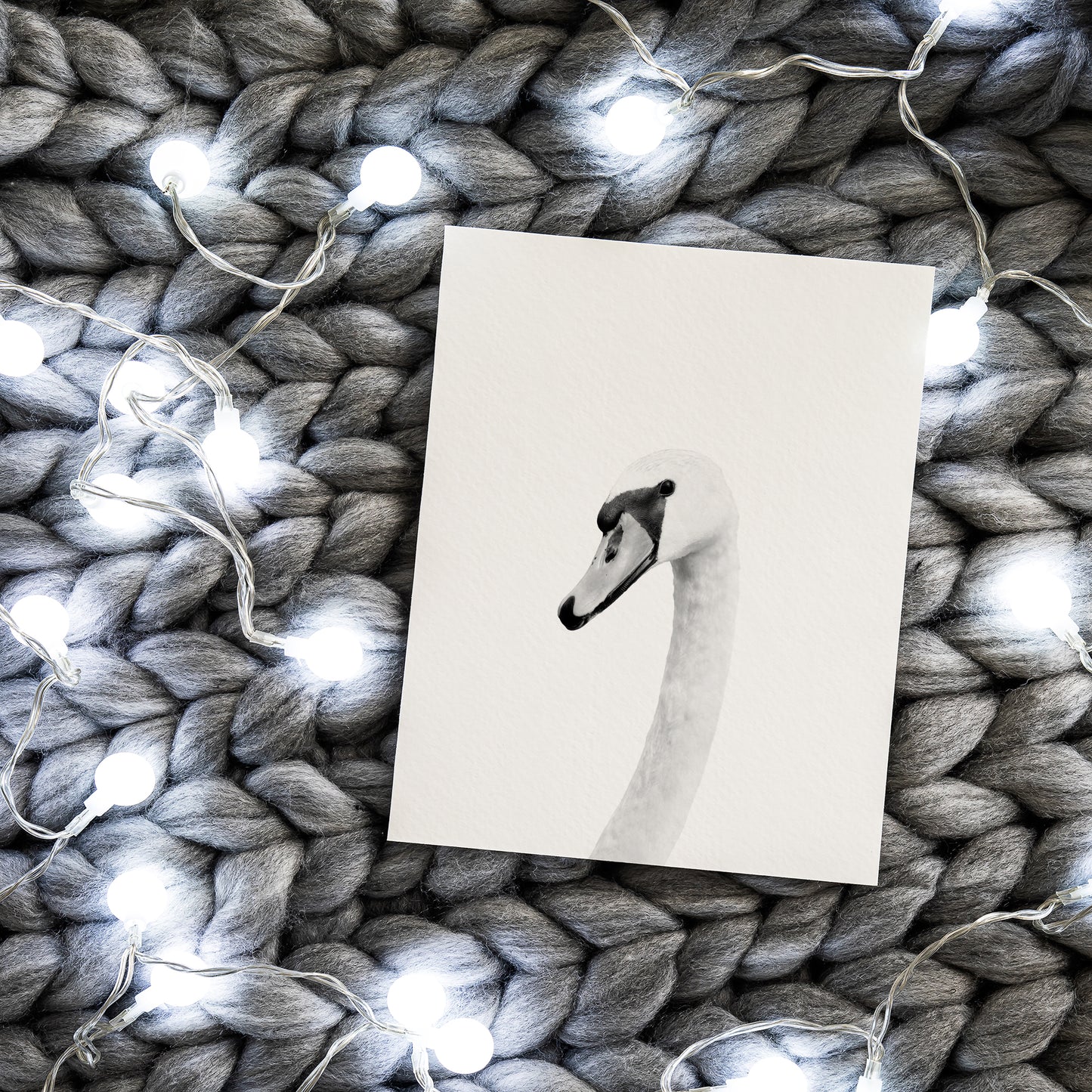 Black and White Swan Wall Art for nursery