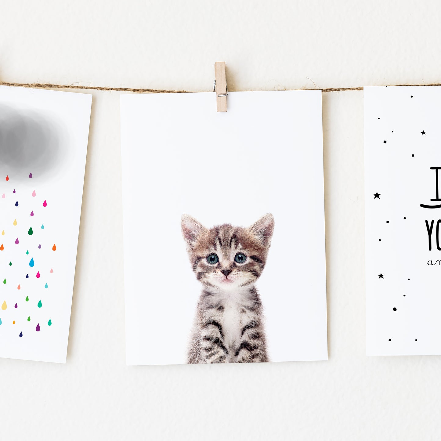 Baby Cat Wall Art Print