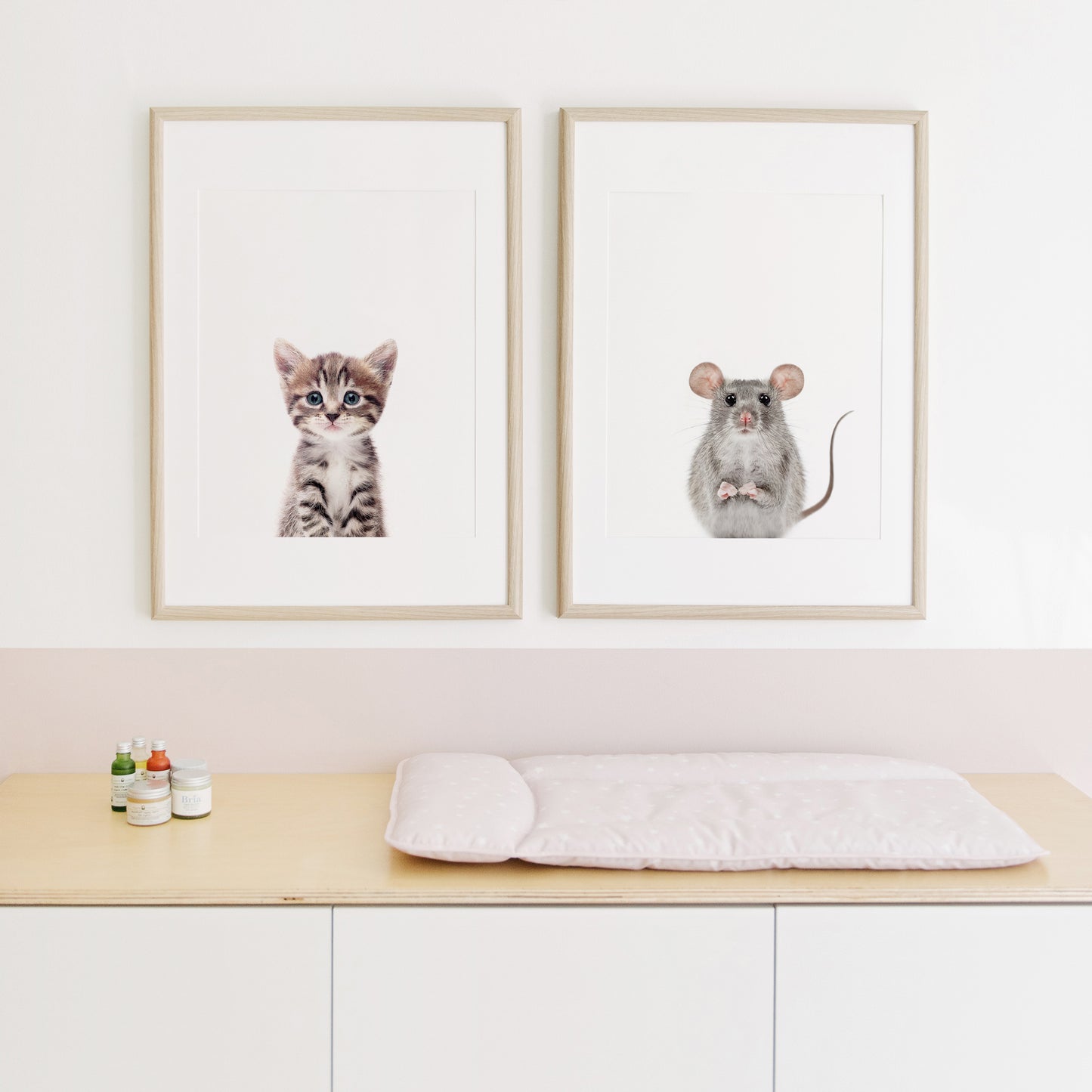 Baby Cat Wall Art Print