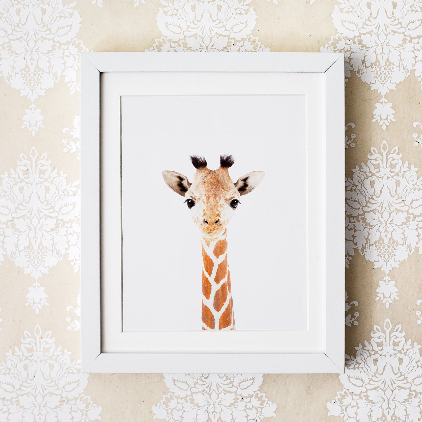 Baby Giraffe Print