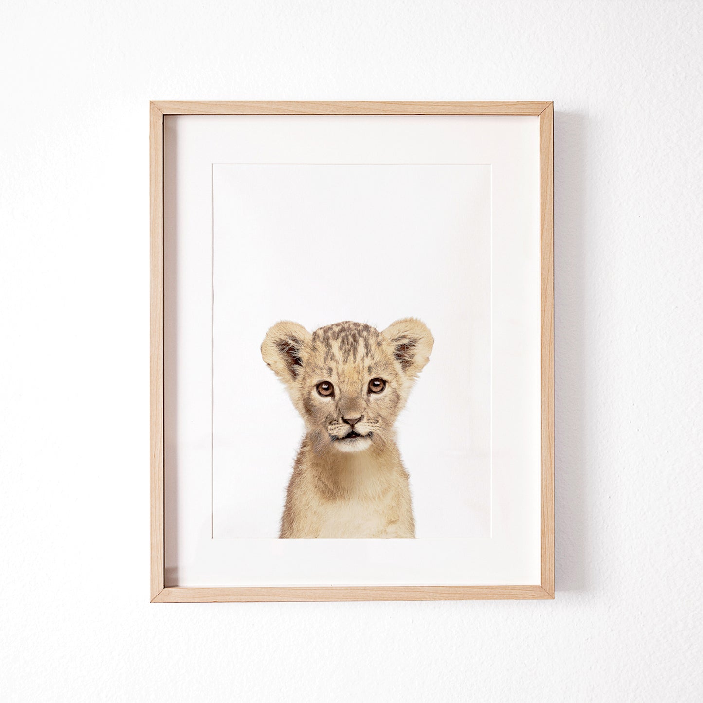 Safari Nursery Art Prints Set of 6