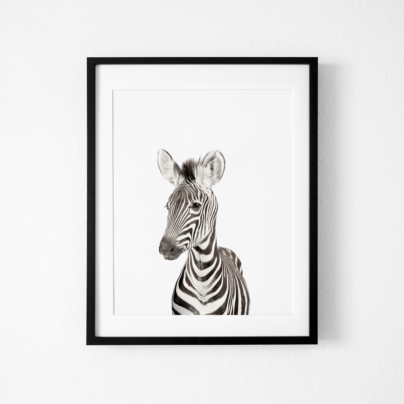 Safari Nursery Art Prints Set of 6
