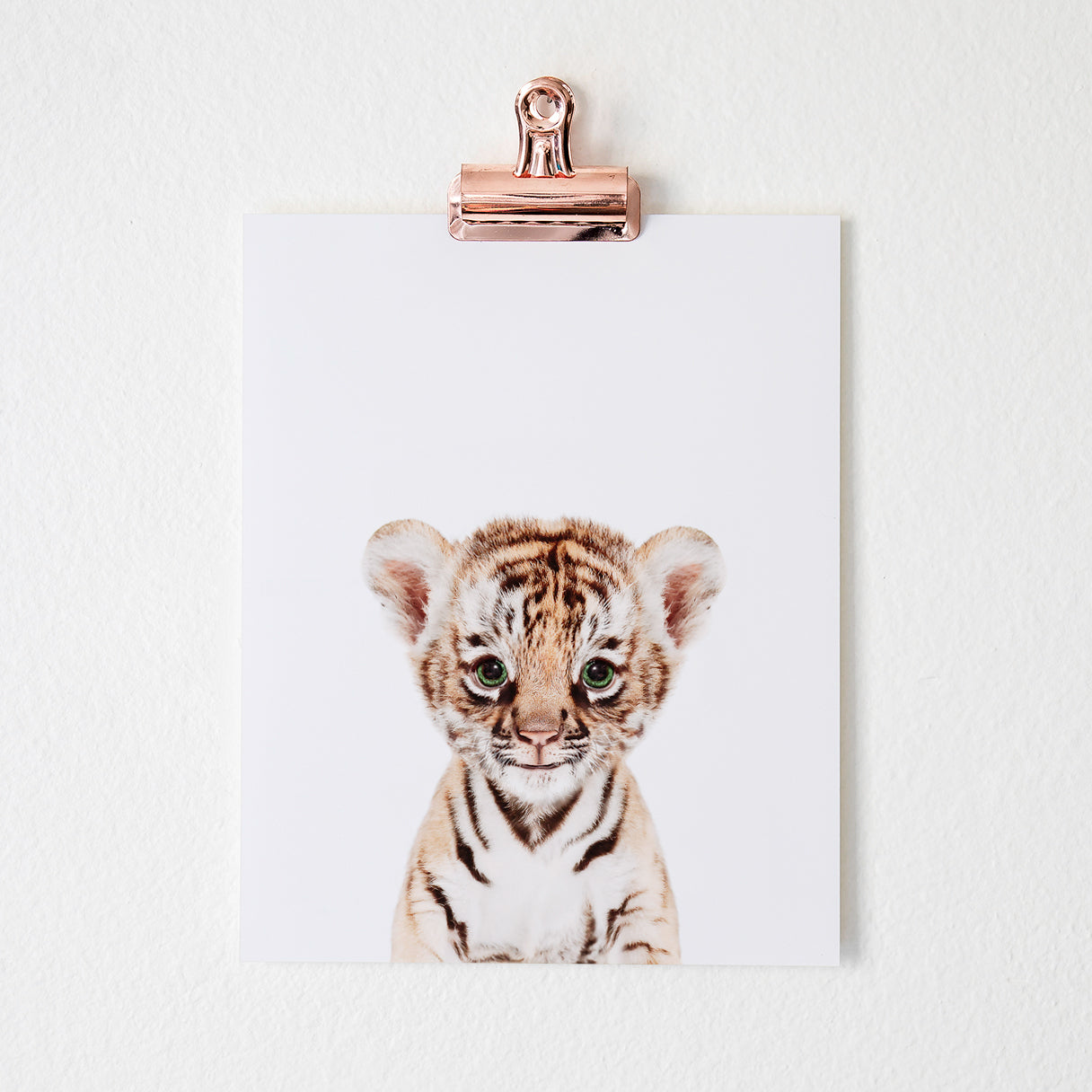 Safari Nursery Art Prints Set of 6