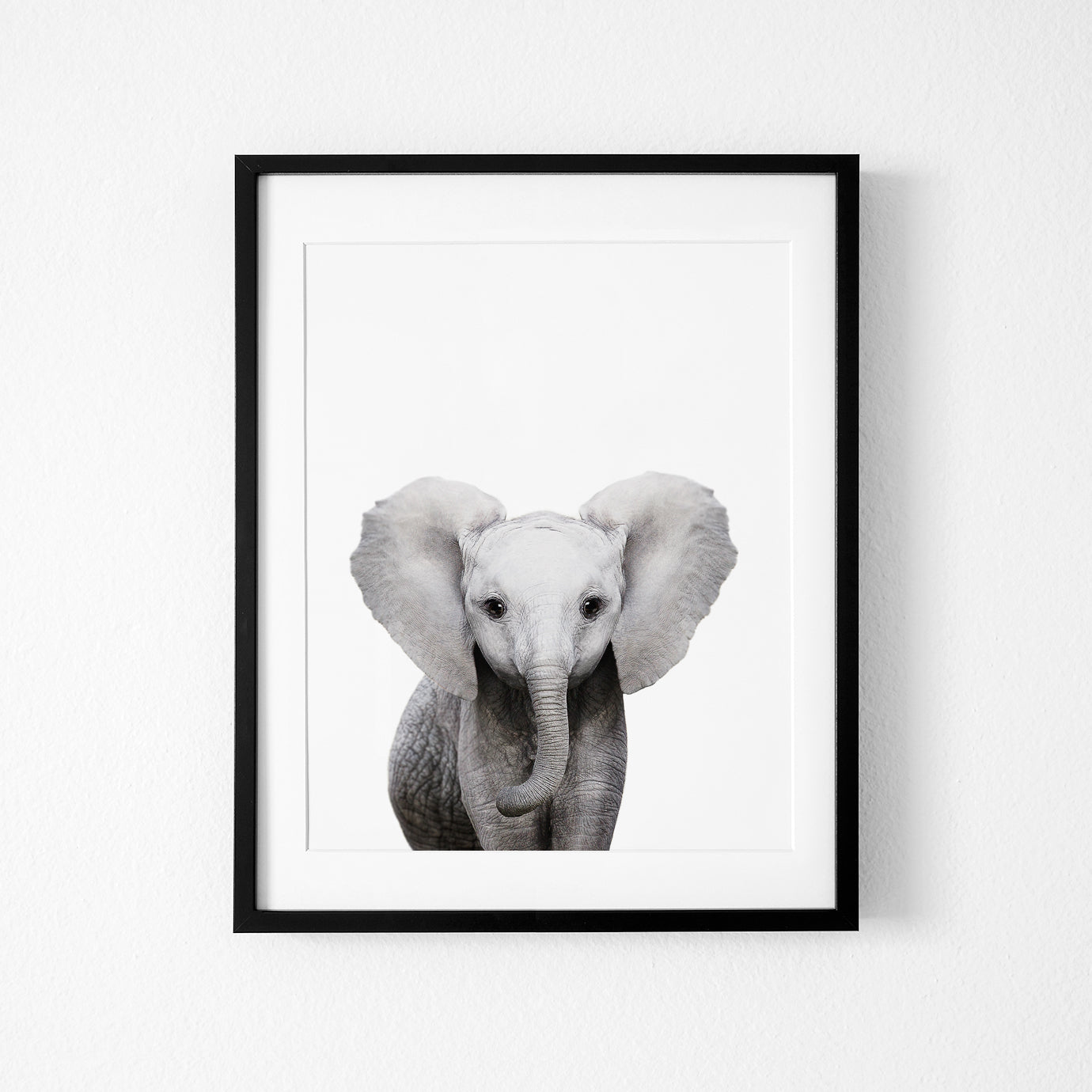 Safari Nursery Art Prints Set of 6