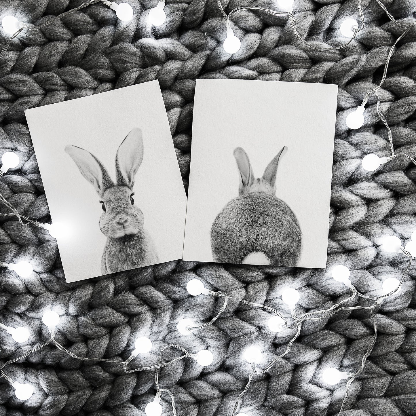 Black and White Bunny Portrait and Bunny Tail Wall Art Print - Set of 2