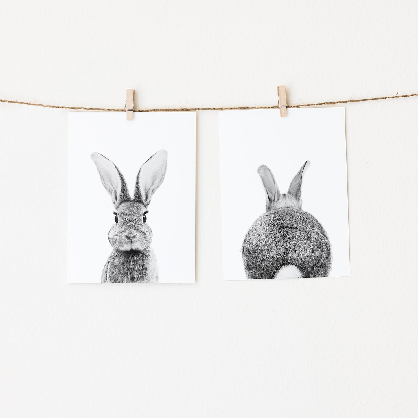 Black and White Bunny Portrait and Bunny Tail Wall Art Print - Set of 2