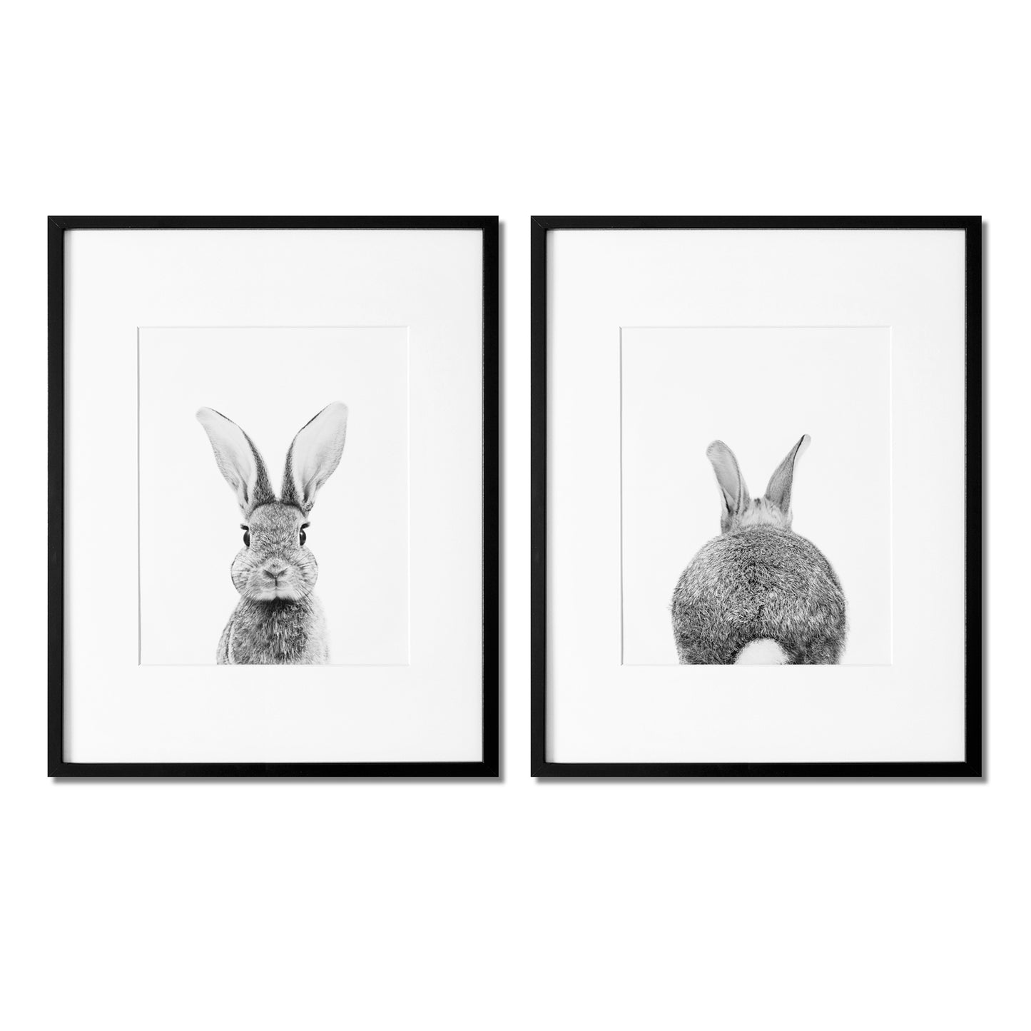 Black and White Bunny Portrait and Bunny Tail Wall Art Print - Set of 2