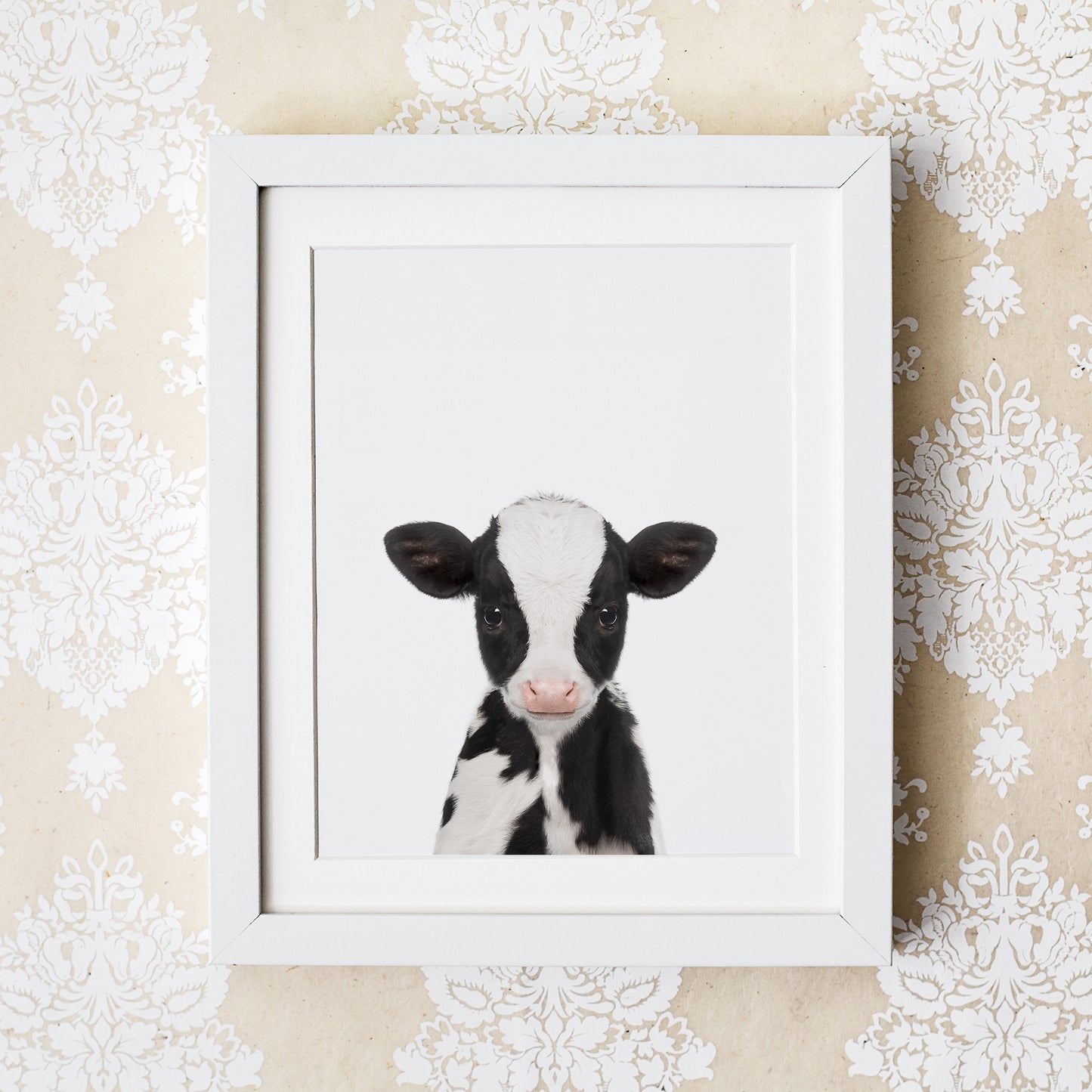 Baby Cow Wall Art Print