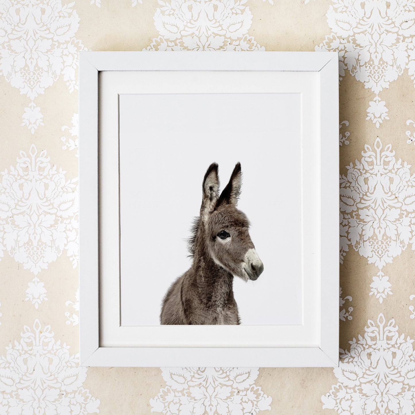 Baby Donkey Wall Art Print