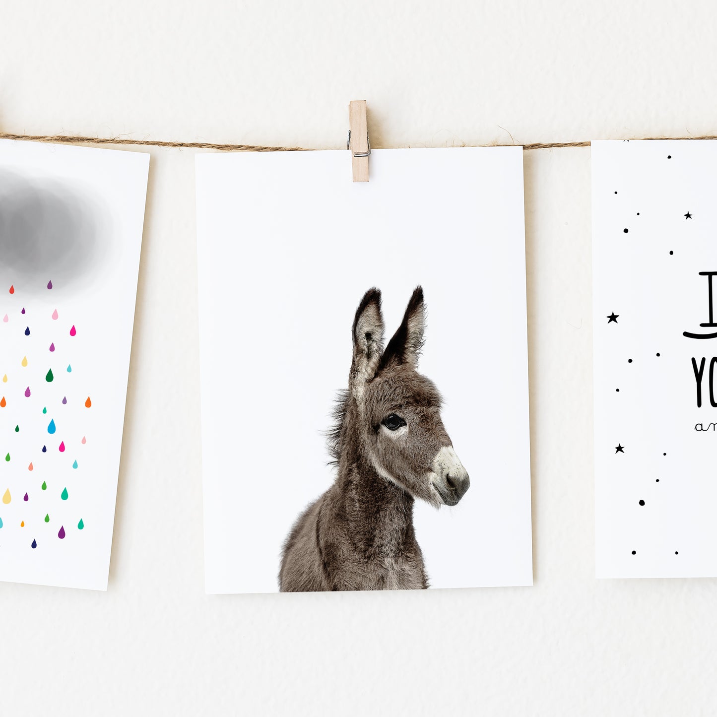Baby Donkey Wall Art Print
