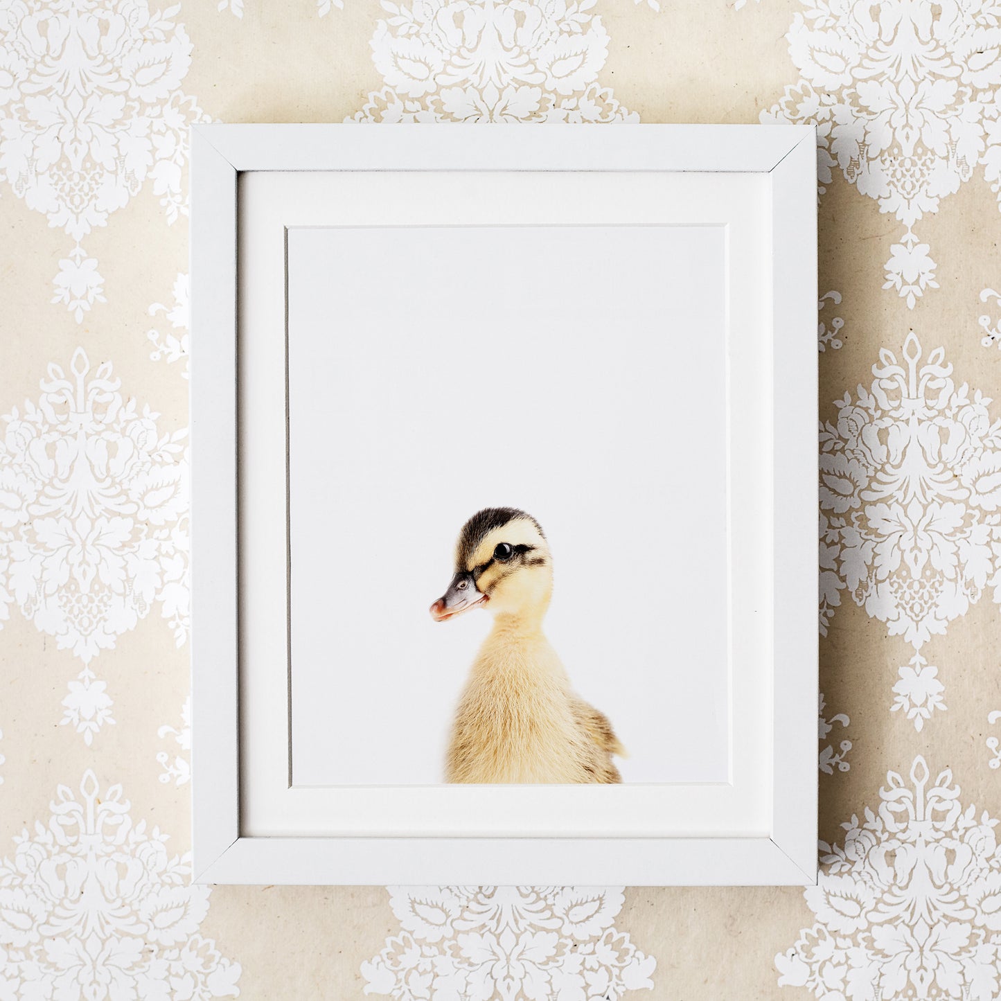 Baby Duck Wall Art Print