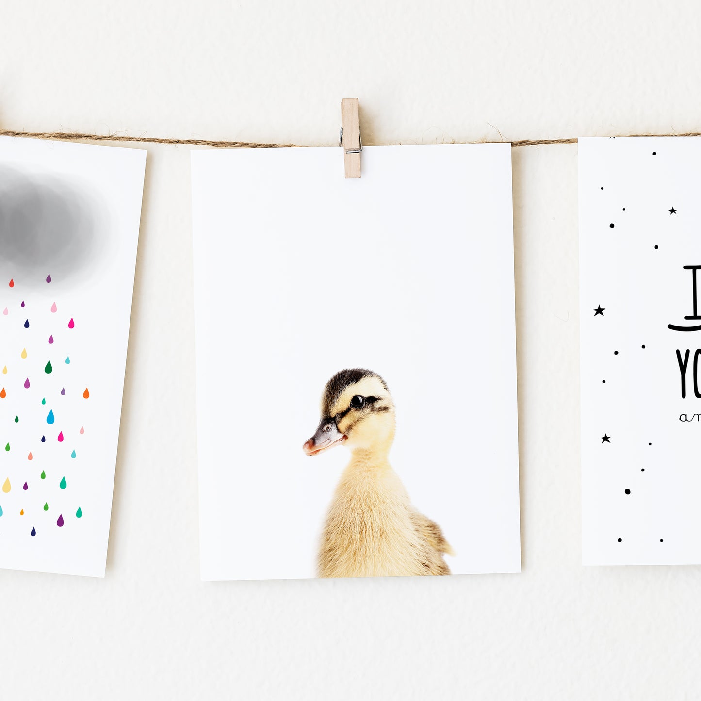 Baby Duck Wall Art Print