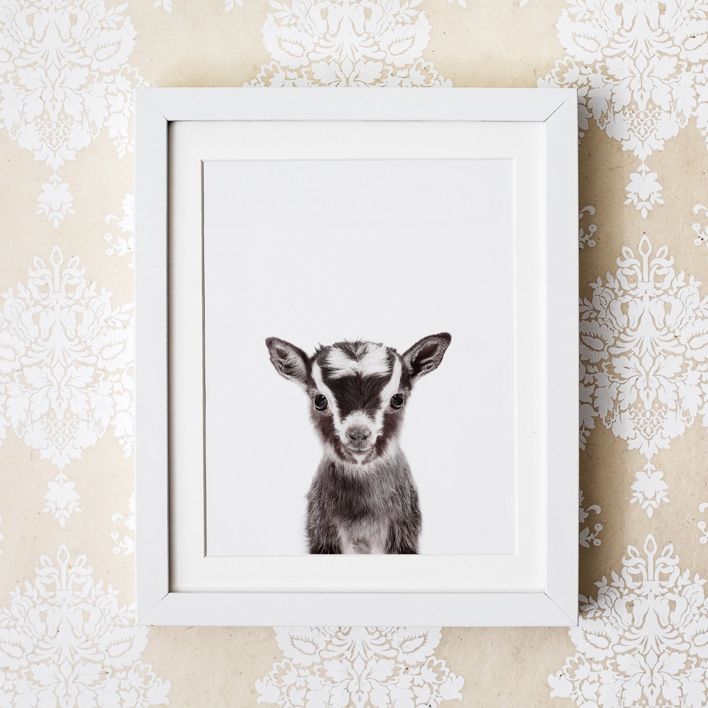 Baby Goat Wall Art Print