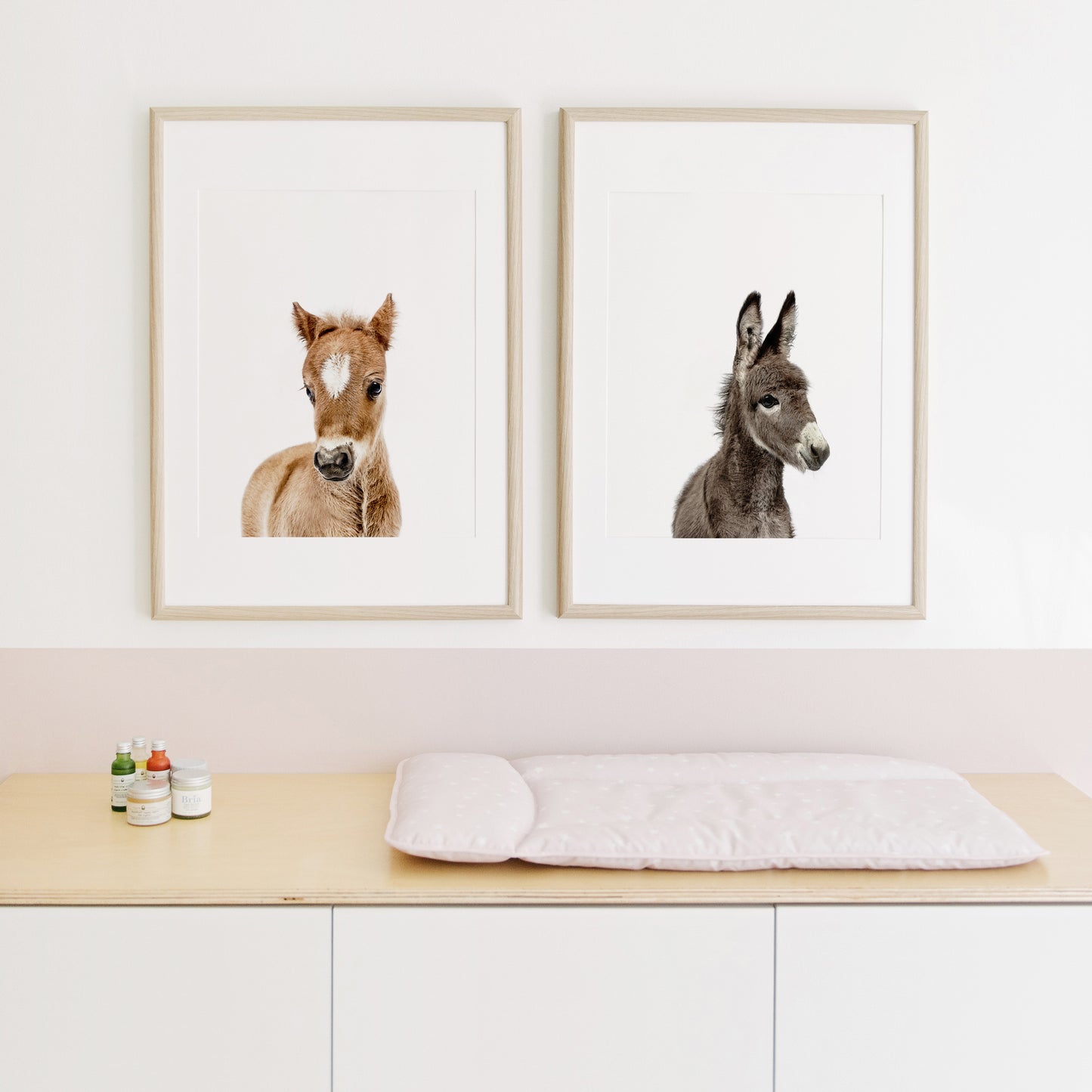 Baby Horse Wall Art Print