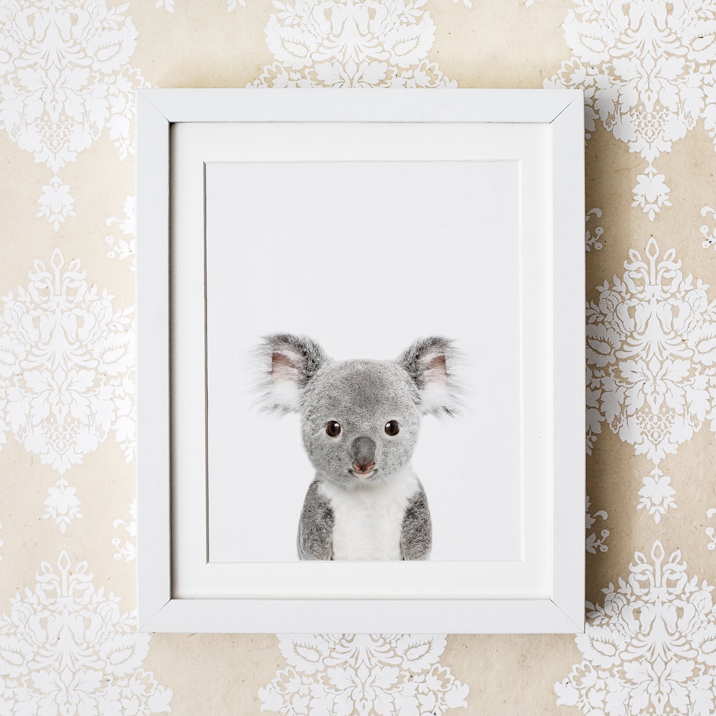 Baby Koala Wall Art Print