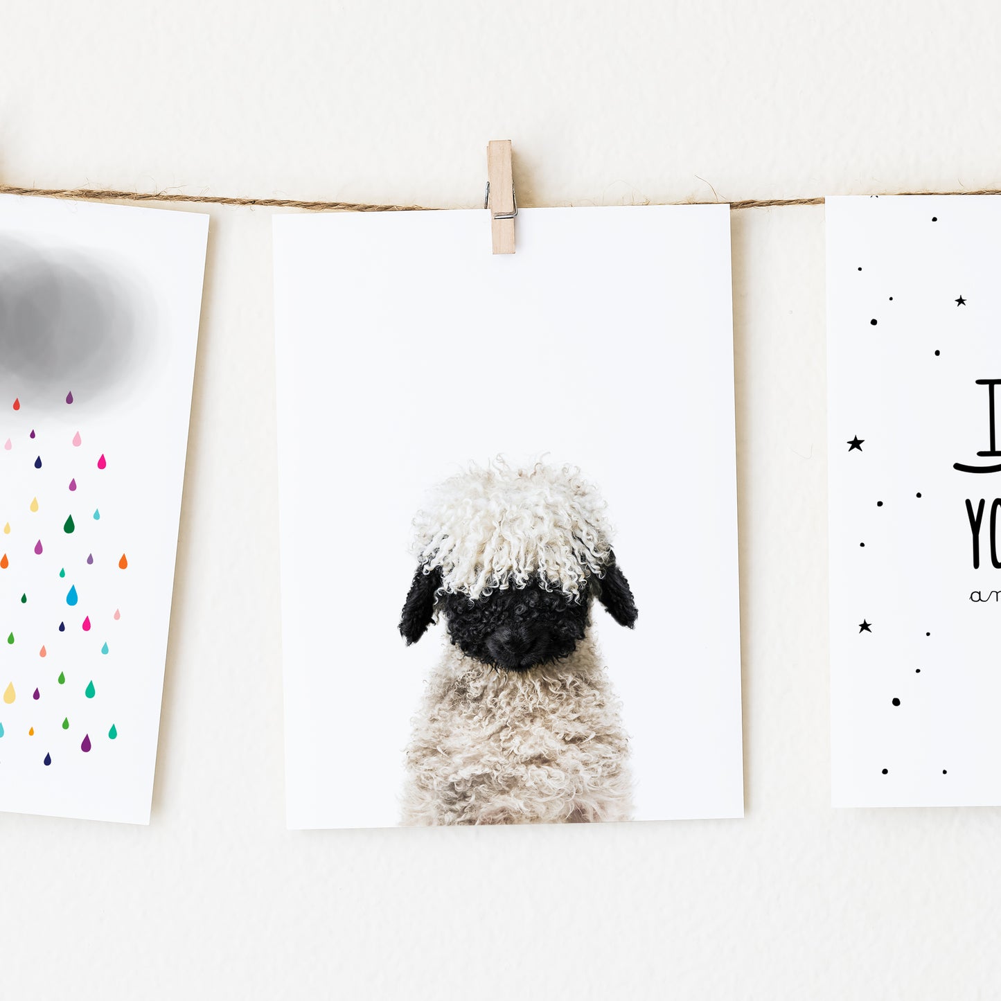 Baby Lamb Blacknose Wall Art Print