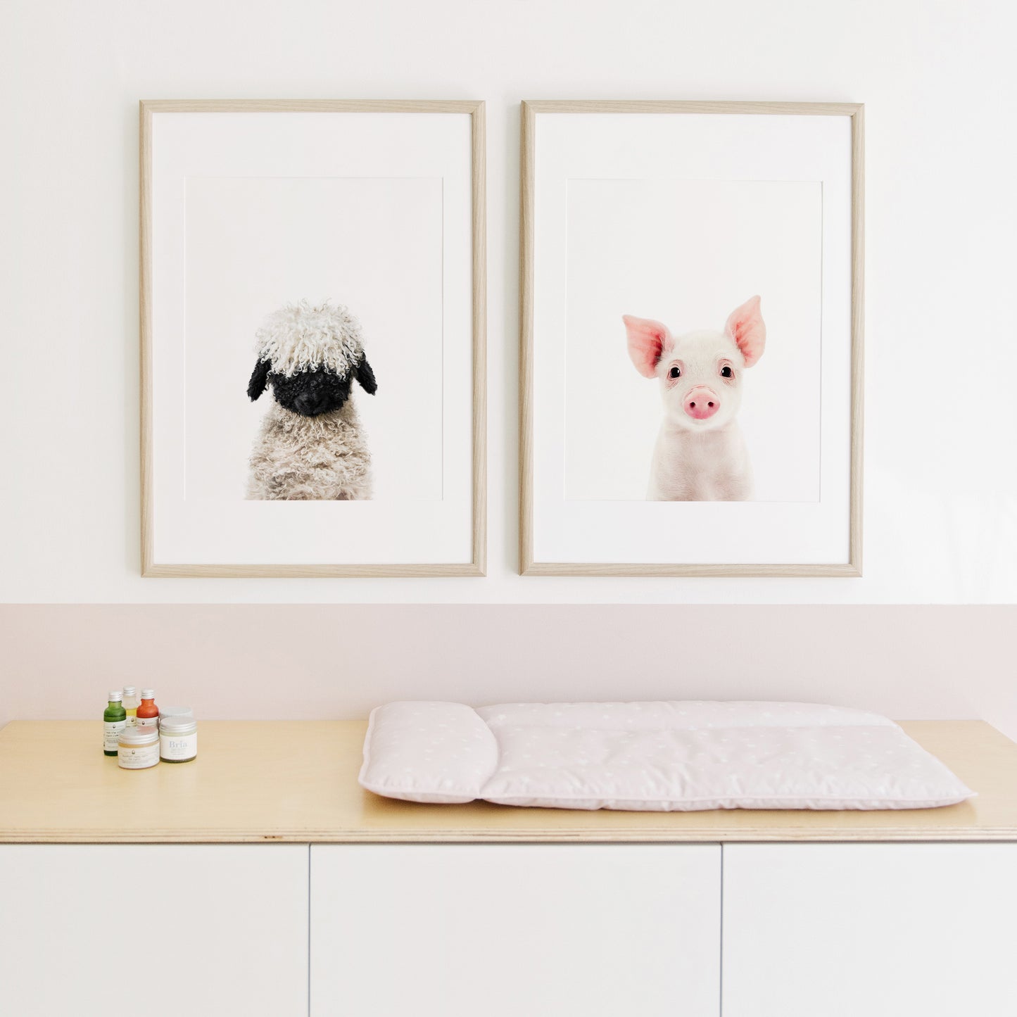 Baby Lamb Blacknose Art Print