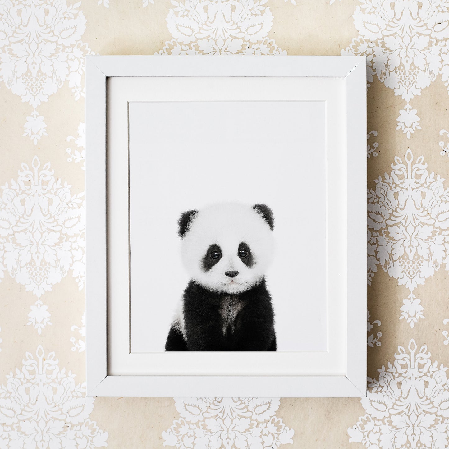Baby Panda Wall Art Print