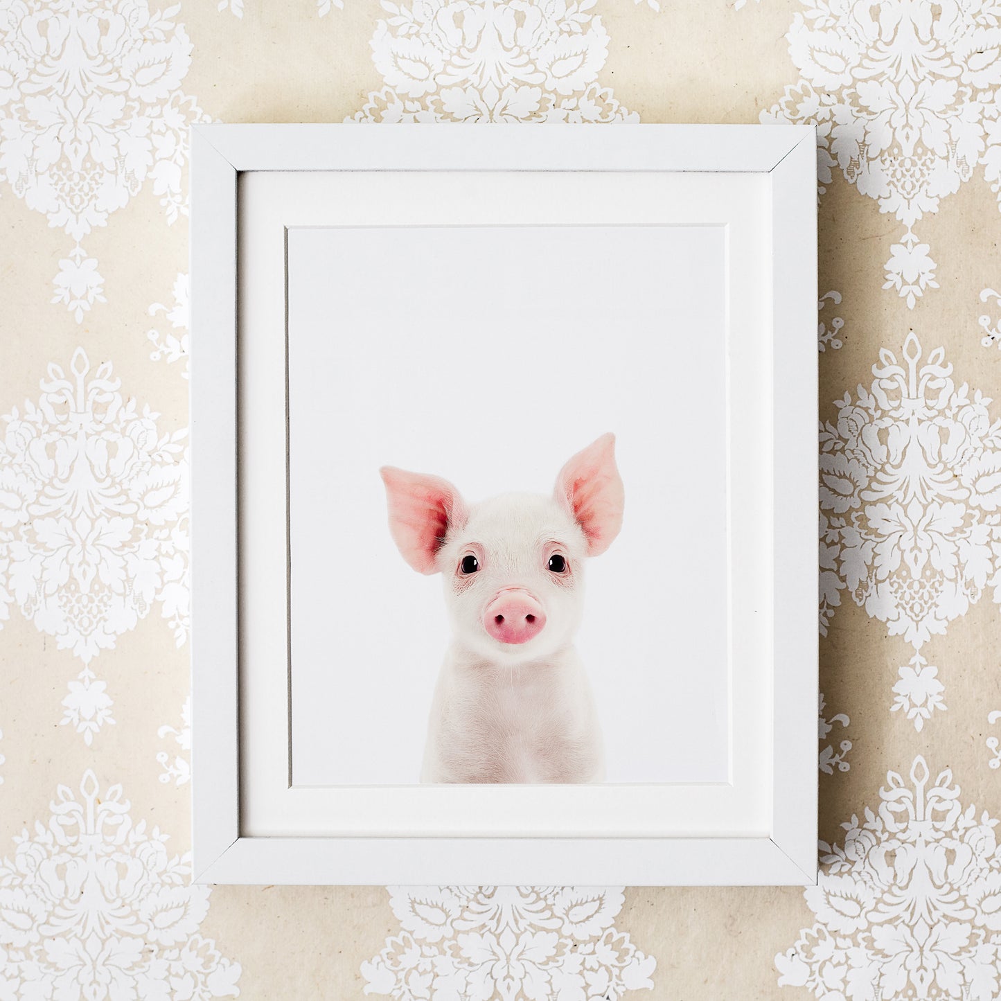 Baby Pig Wall Art Print