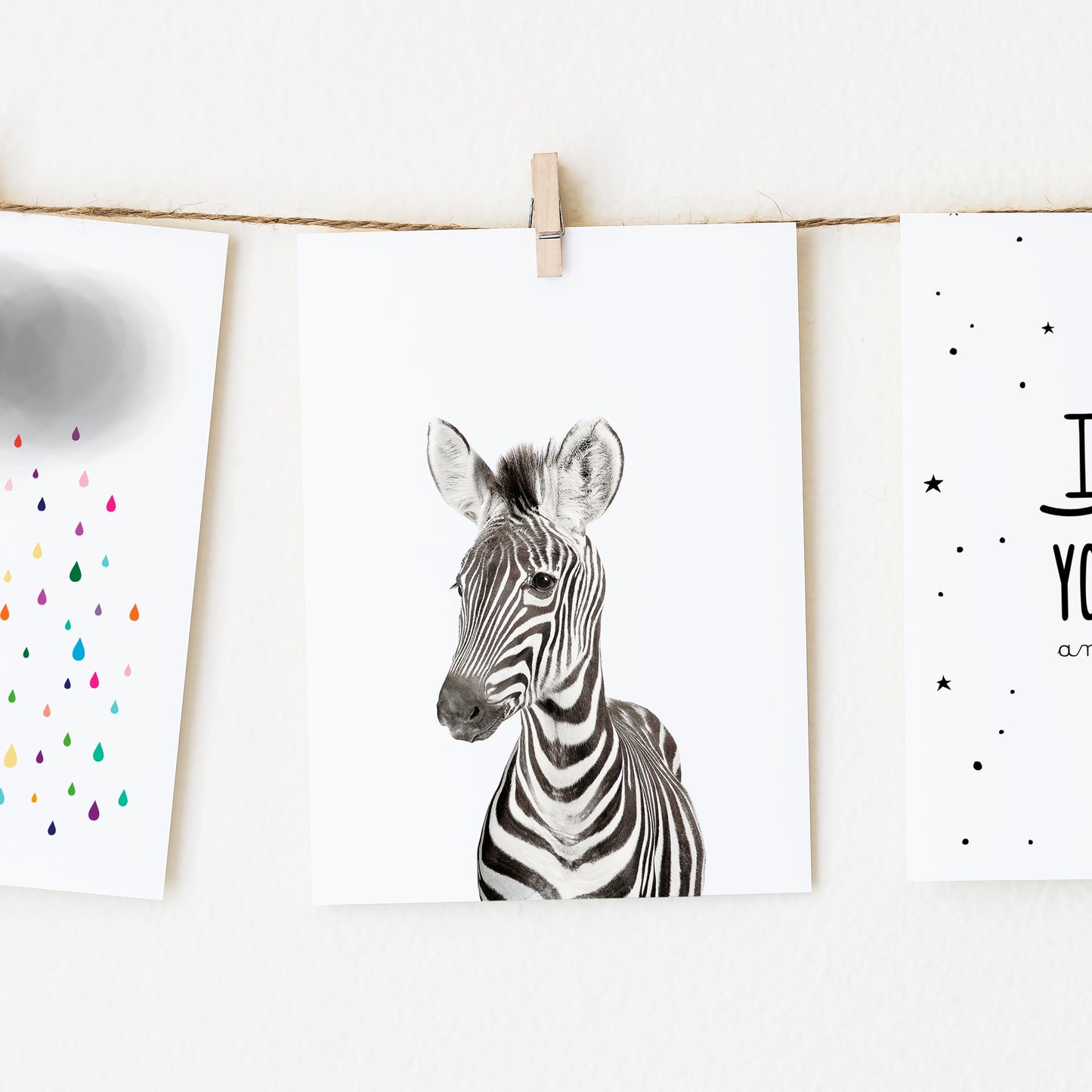 Baby Zebra Wall Art Print