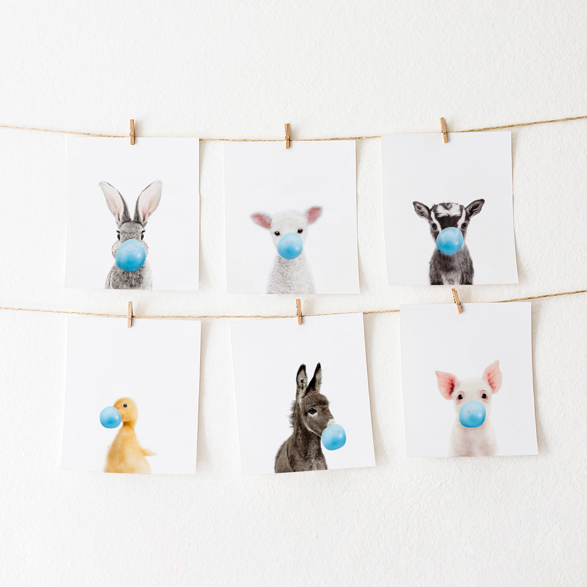 Farm Animals Blowing Bubble Gum Wall Art